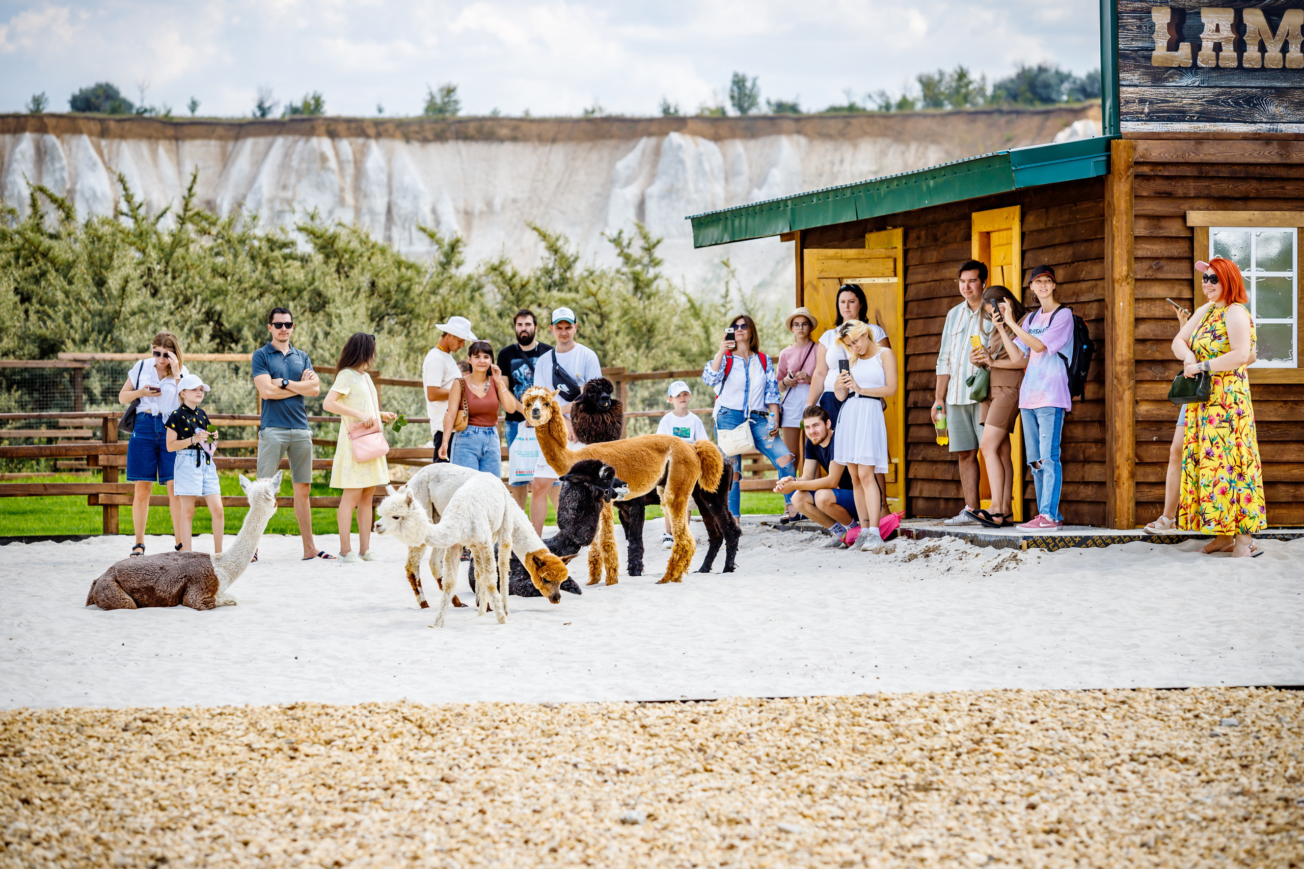 Альпака-парк, анонс. Марк Шишкин — репортажный фотограф в Воронеже и России
