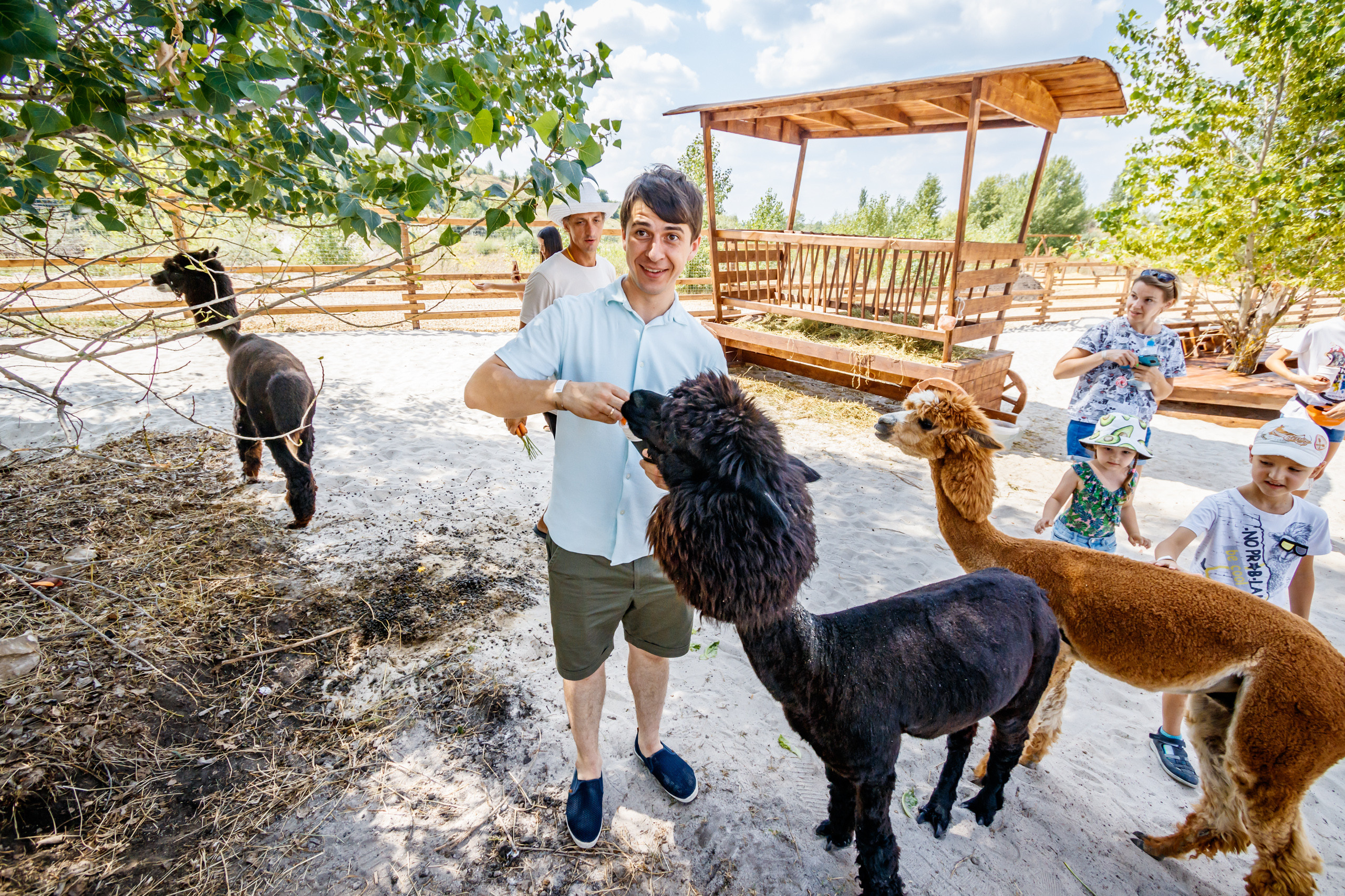 Альпака-парк, анонс. Марк Шишкин — репортажный фотограф в Воронеже и России