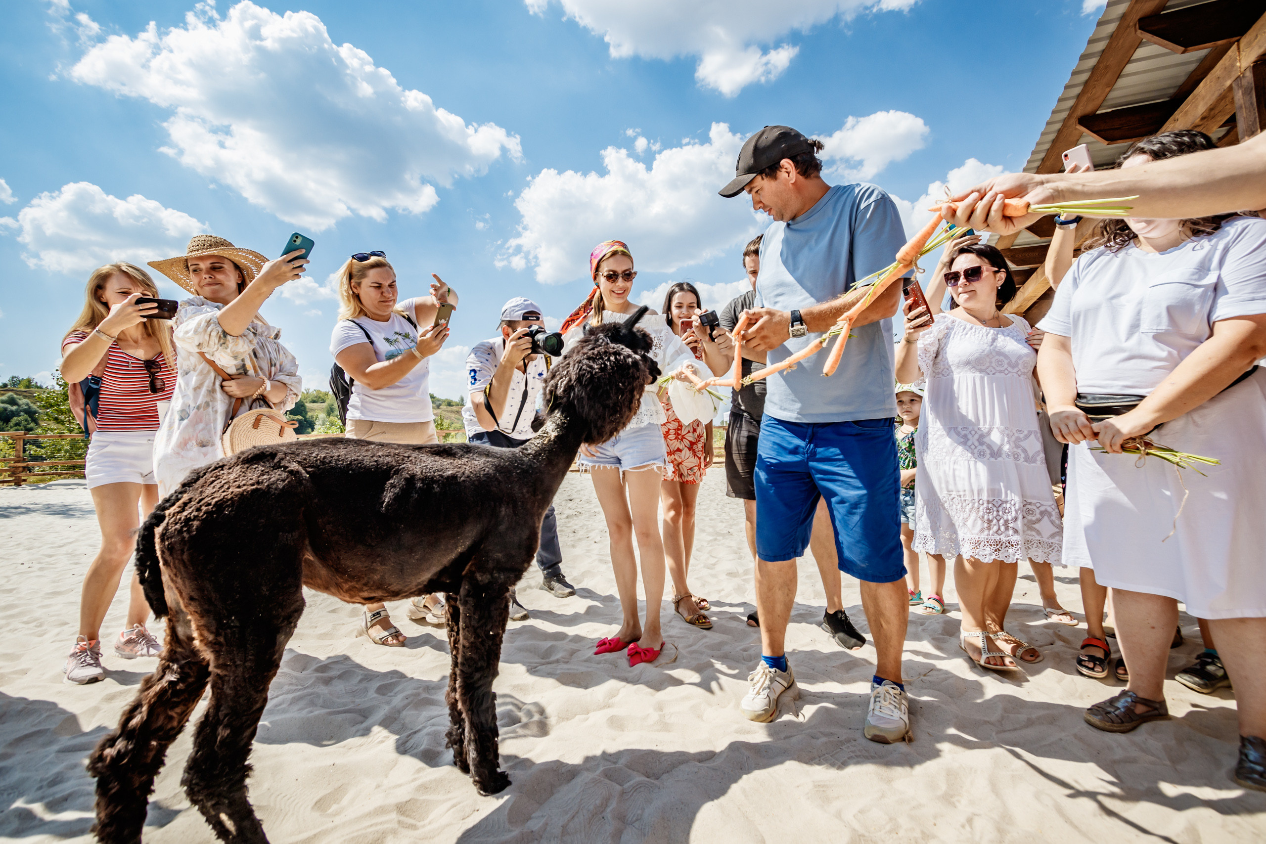 Альпака-парк, анонс. Марк Шишкин — репортажный фотограф в Воронеже и России