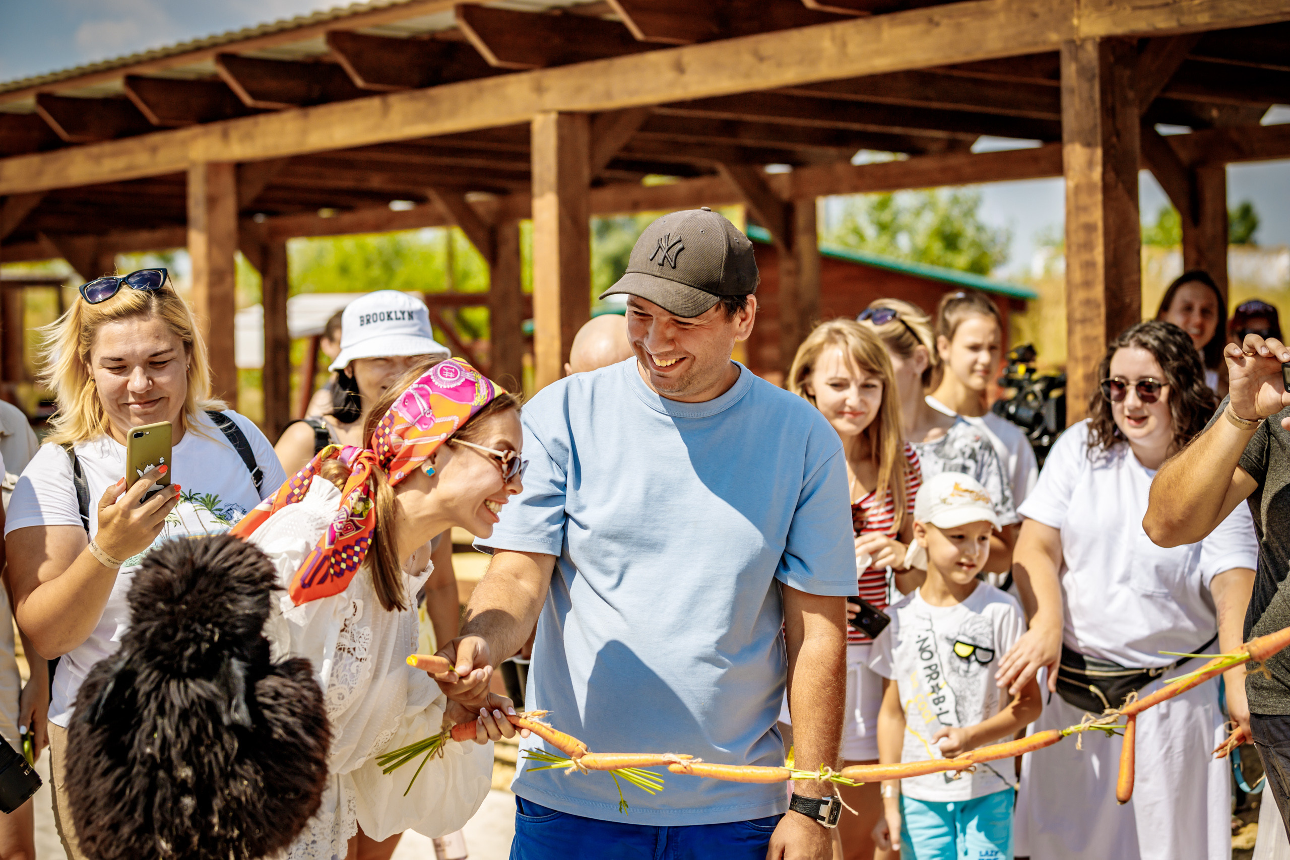 Альпака-парк, анонс. Марк Шишкин — репортажный фотограф в Воронеже и России
