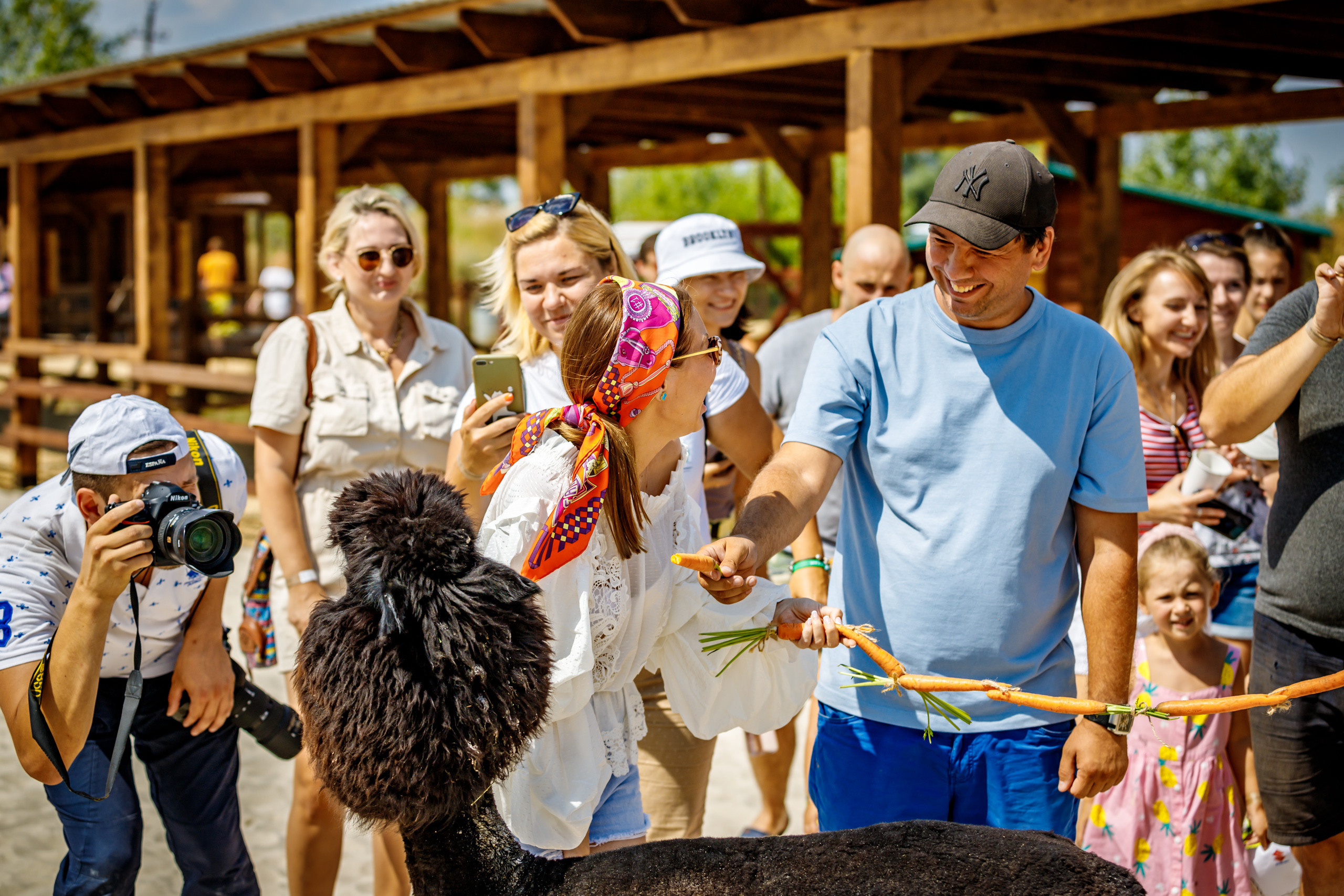 Альпака-парк, анонс. Марк Шишкин — репортажный фотограф в Воронеже и России
