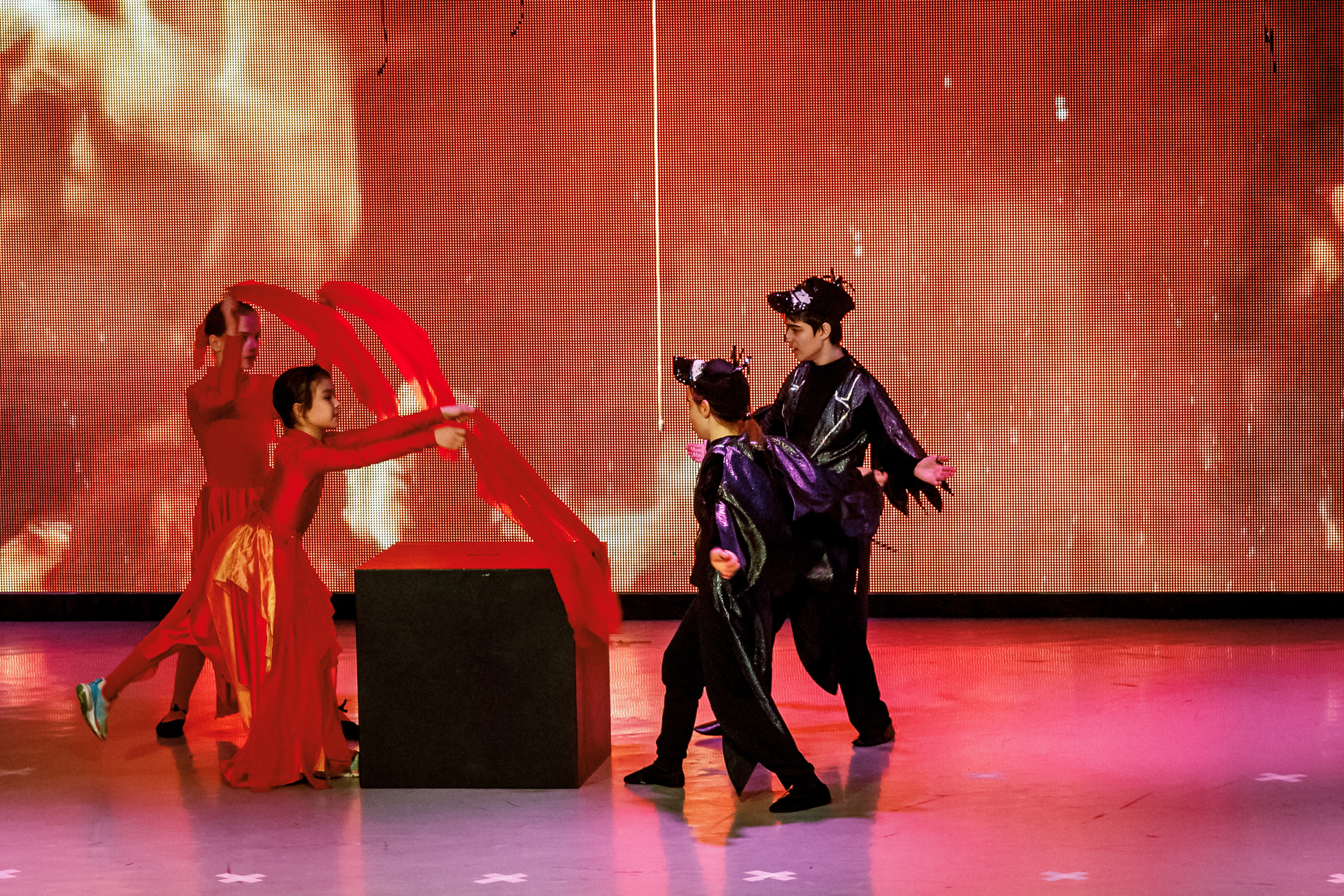 «Кошкин дом». Марина Ушакова. Фотограф. Выпускные альбомы. г. Краснодар