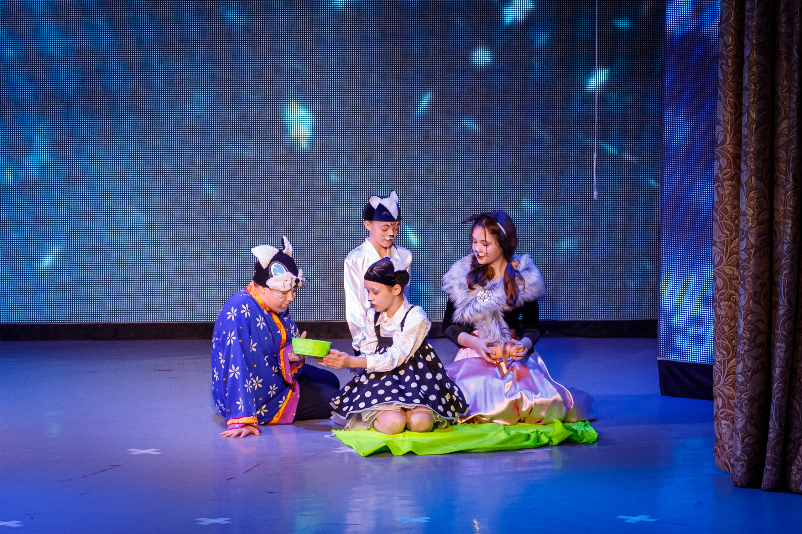 кошкин дом МЭЦ