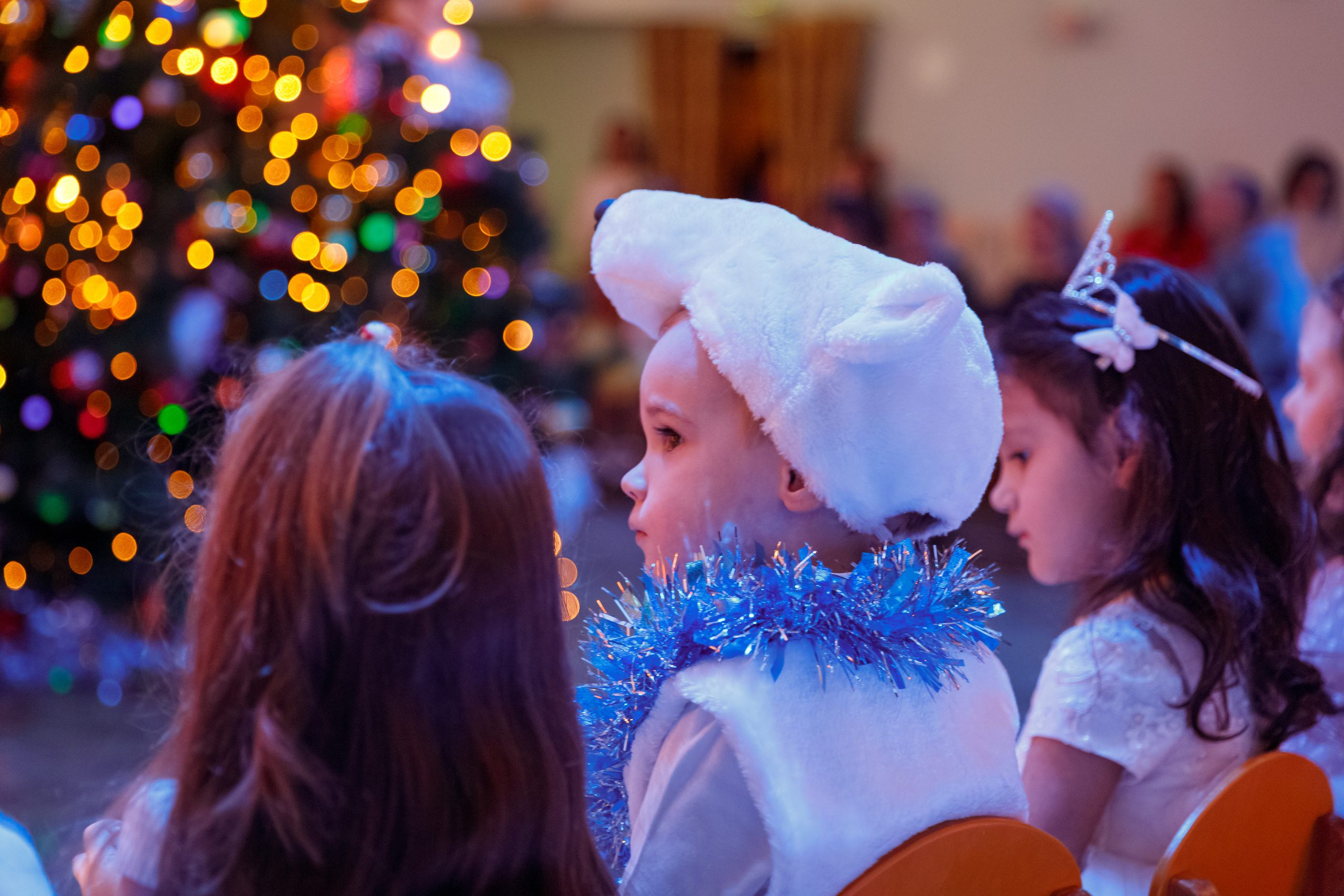 «Кошкин дом». Марина Ушакова. Фотограф. Выпускные альбомы. г. Краснодар