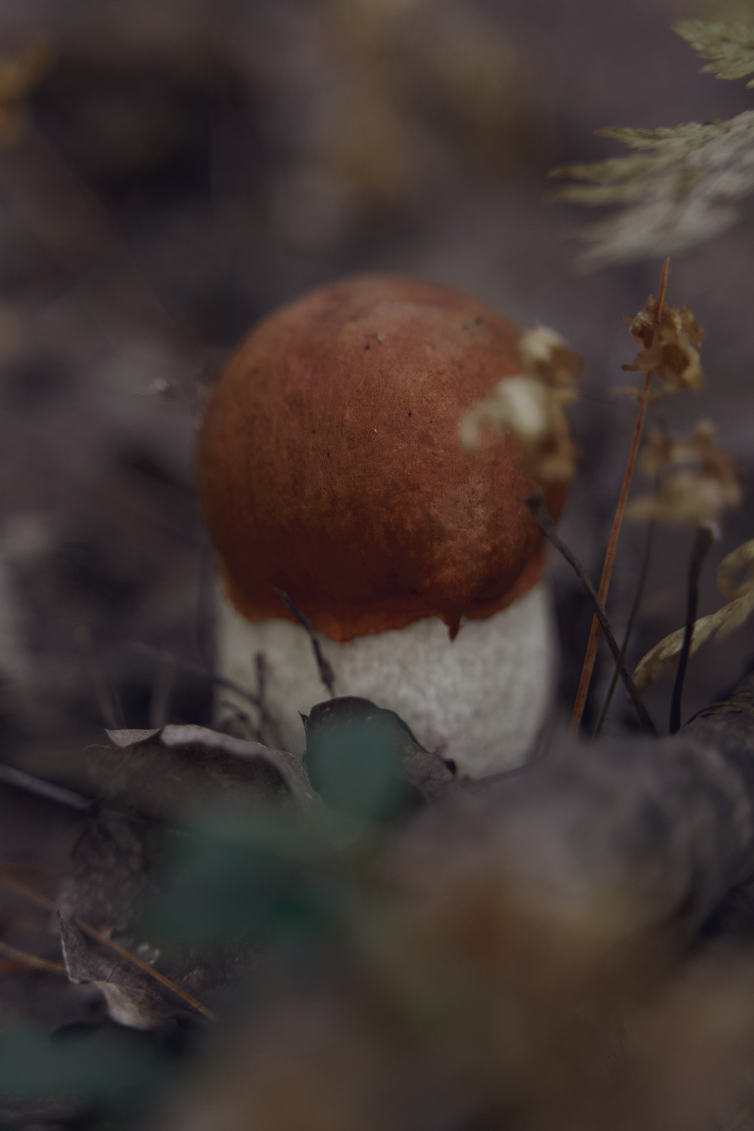 Фотограф Перминова Евгения