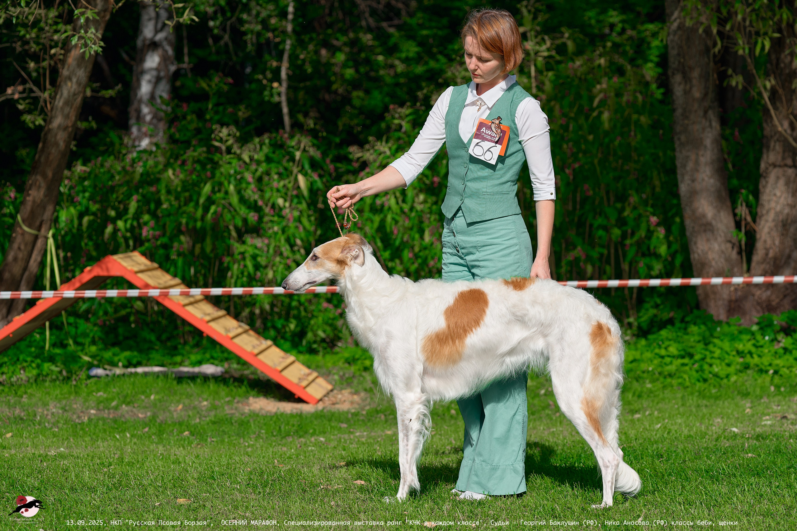 ОСЕННИЙ МАРАФОН | Специализированная выставка породы Русская Псовая Борзая ранг "КЧК в каждом классе"