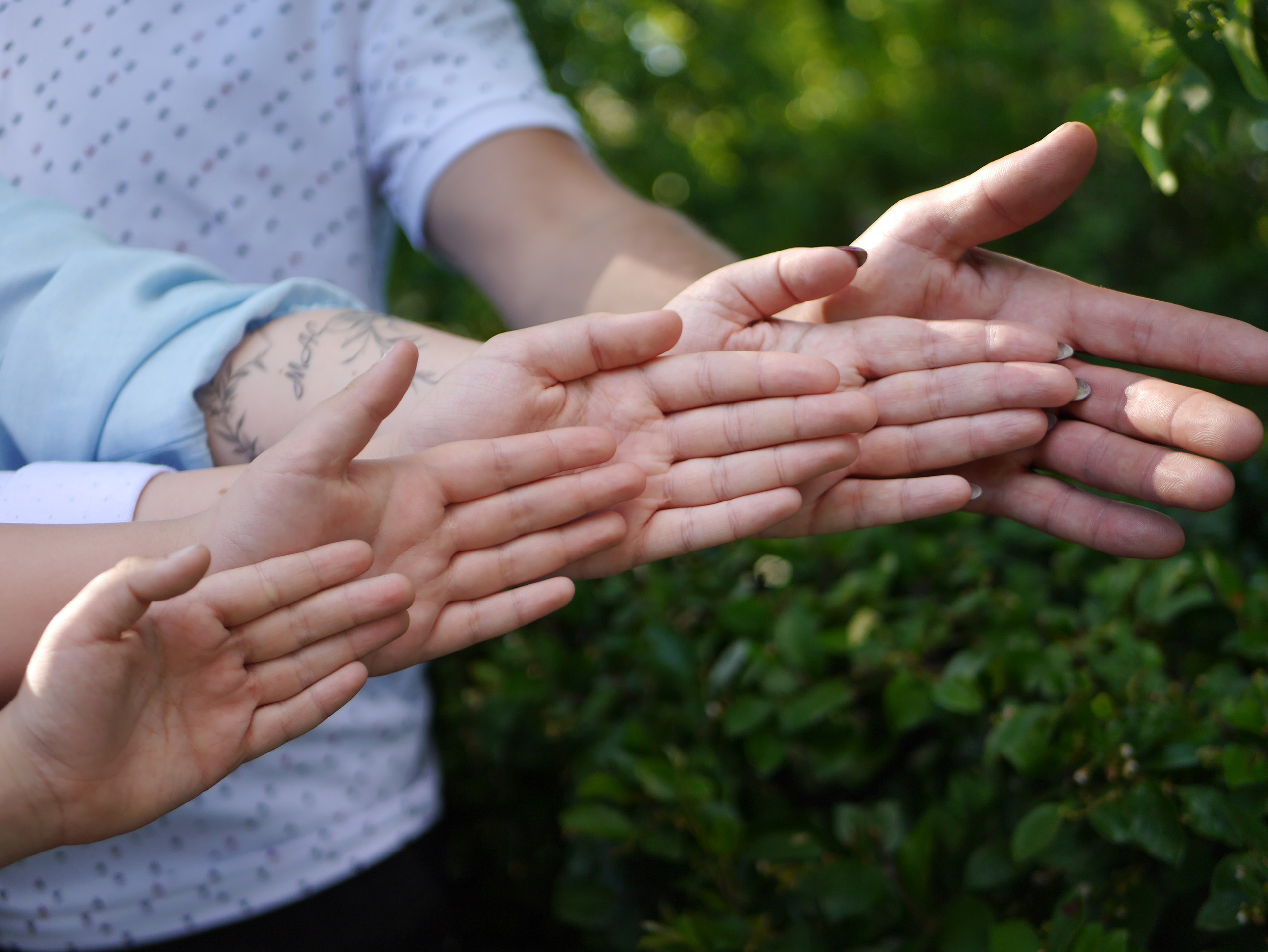 Катюша и её большая семья