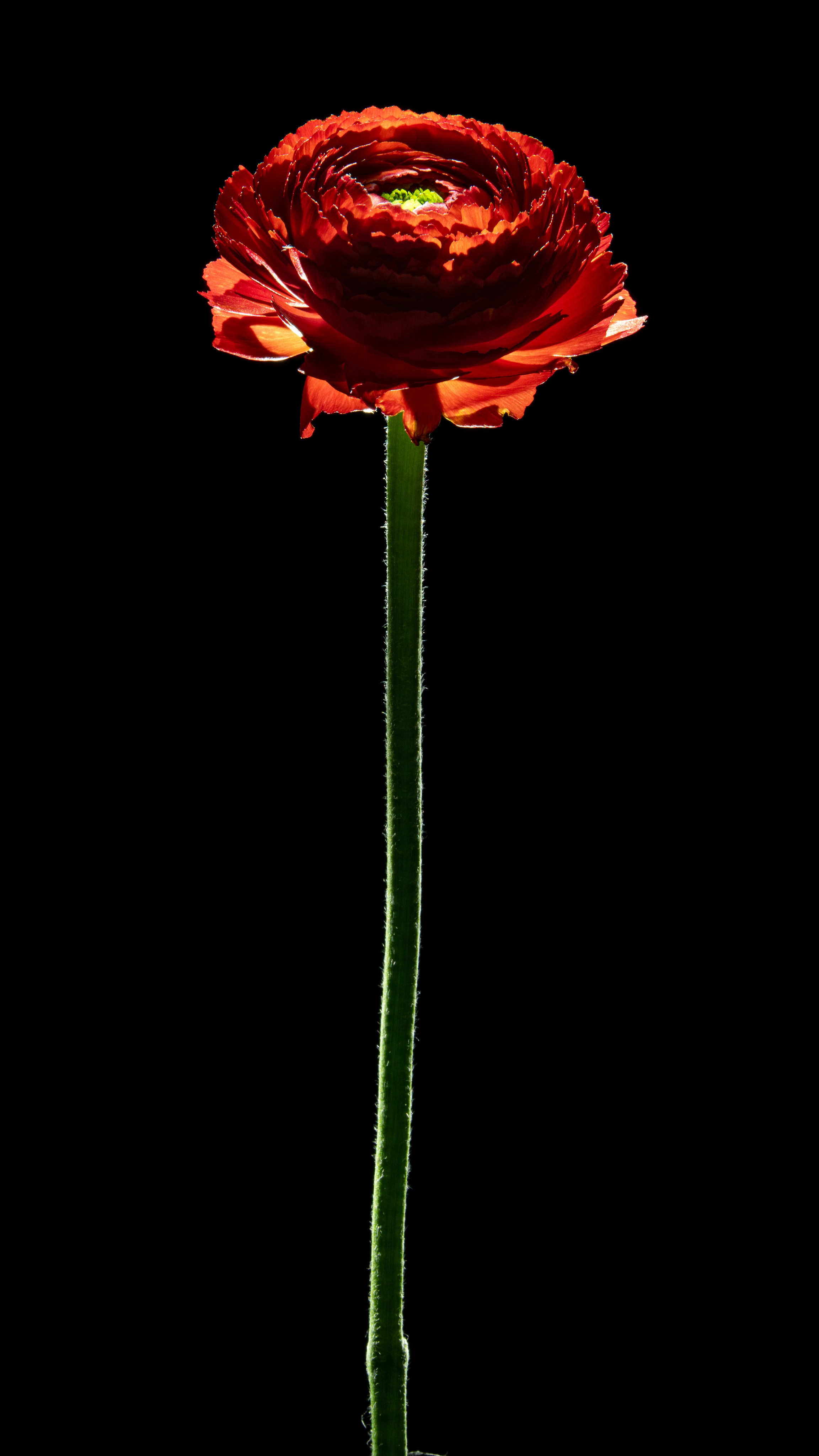 Проекты. Sakunov Photo