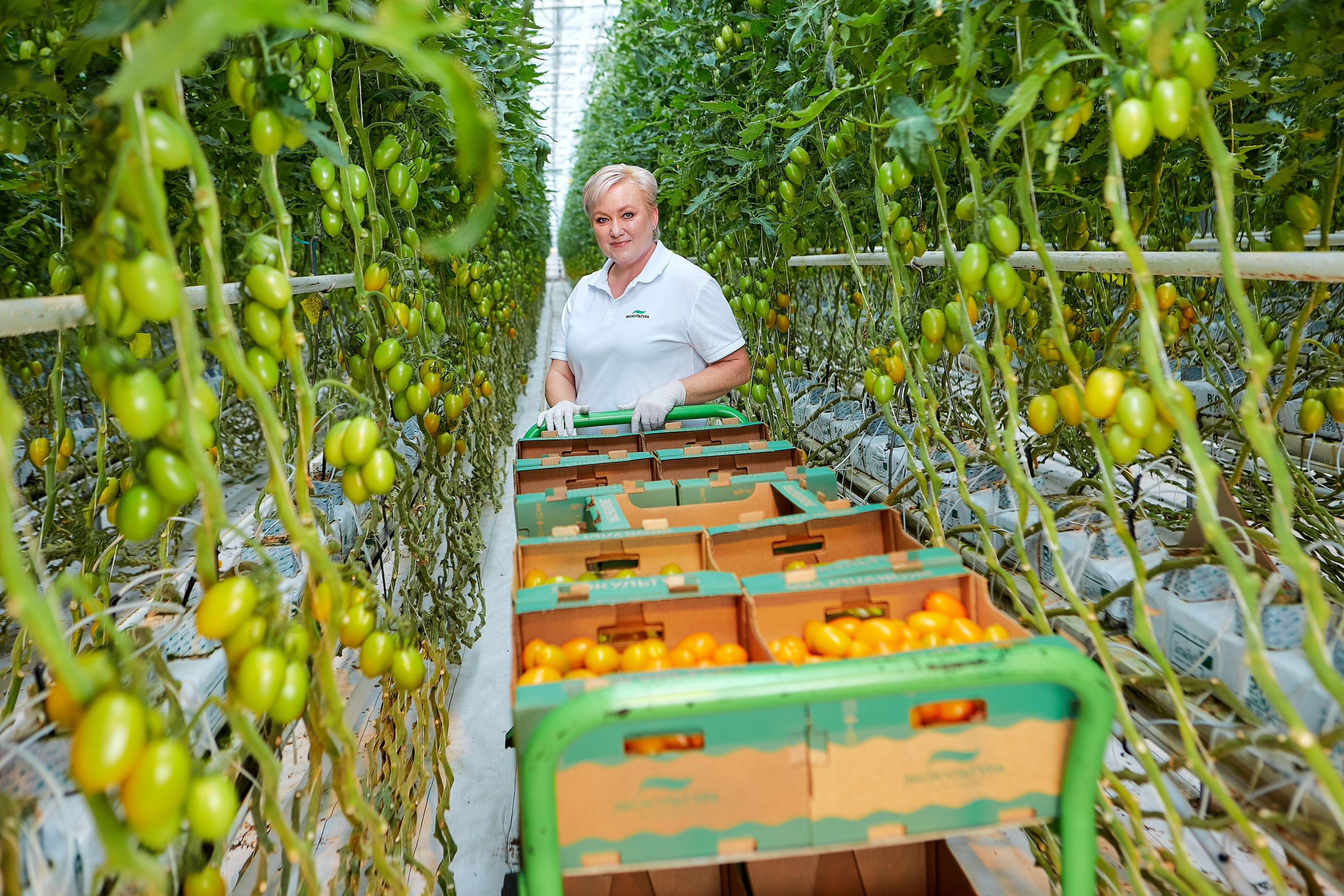 Эко-Культура