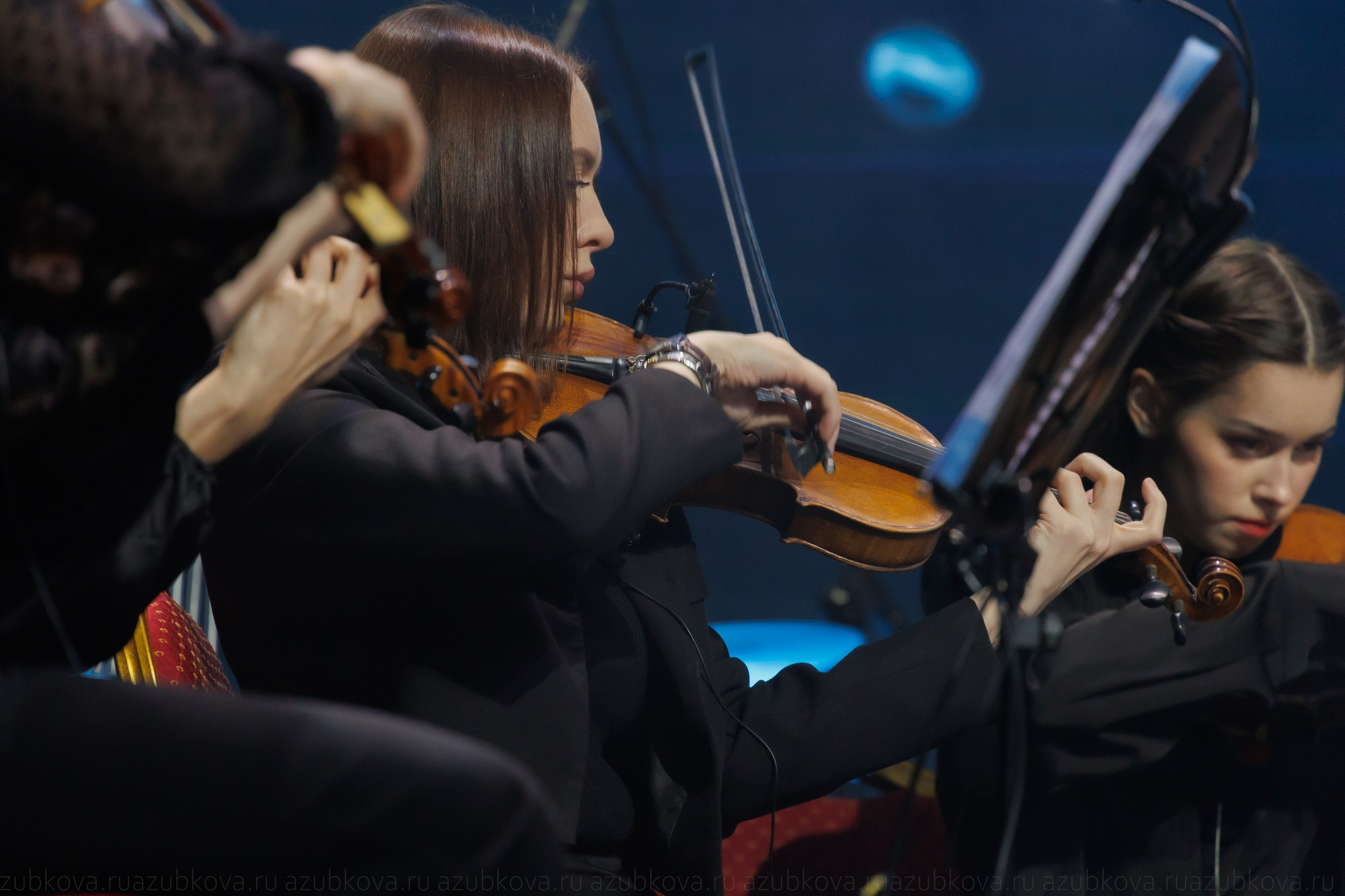 Sting Desert Rose Symphony. Фотограф Анастасия Зубкова