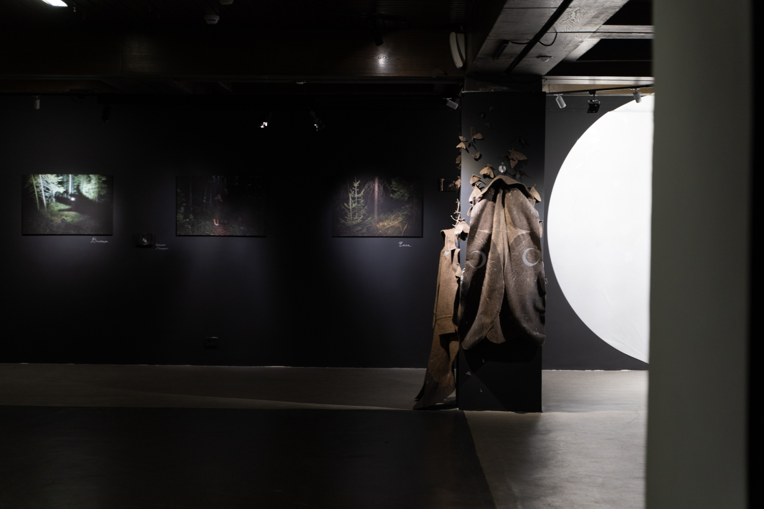 Пристанище. Элина Гусарова