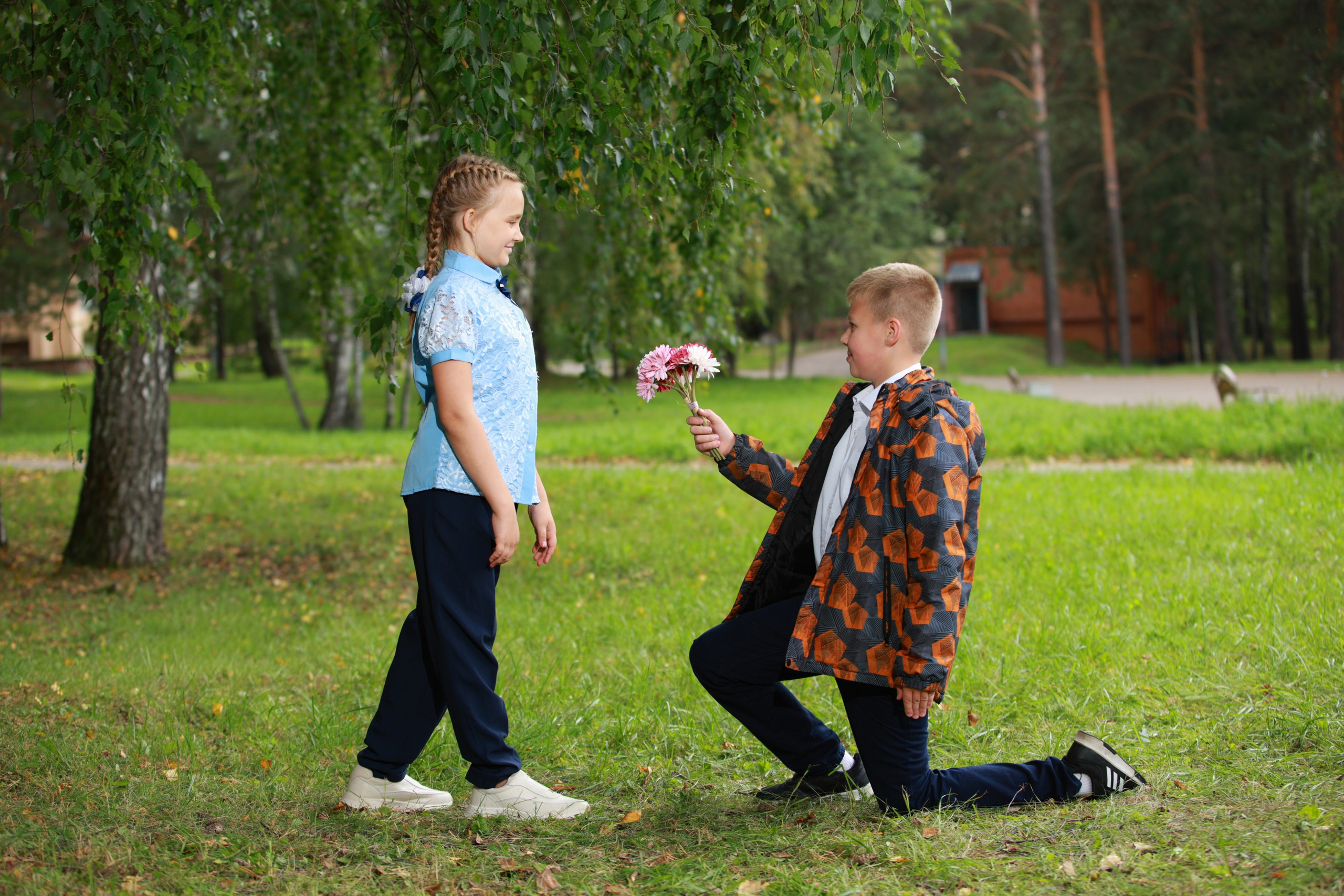 Стоимость альбомов