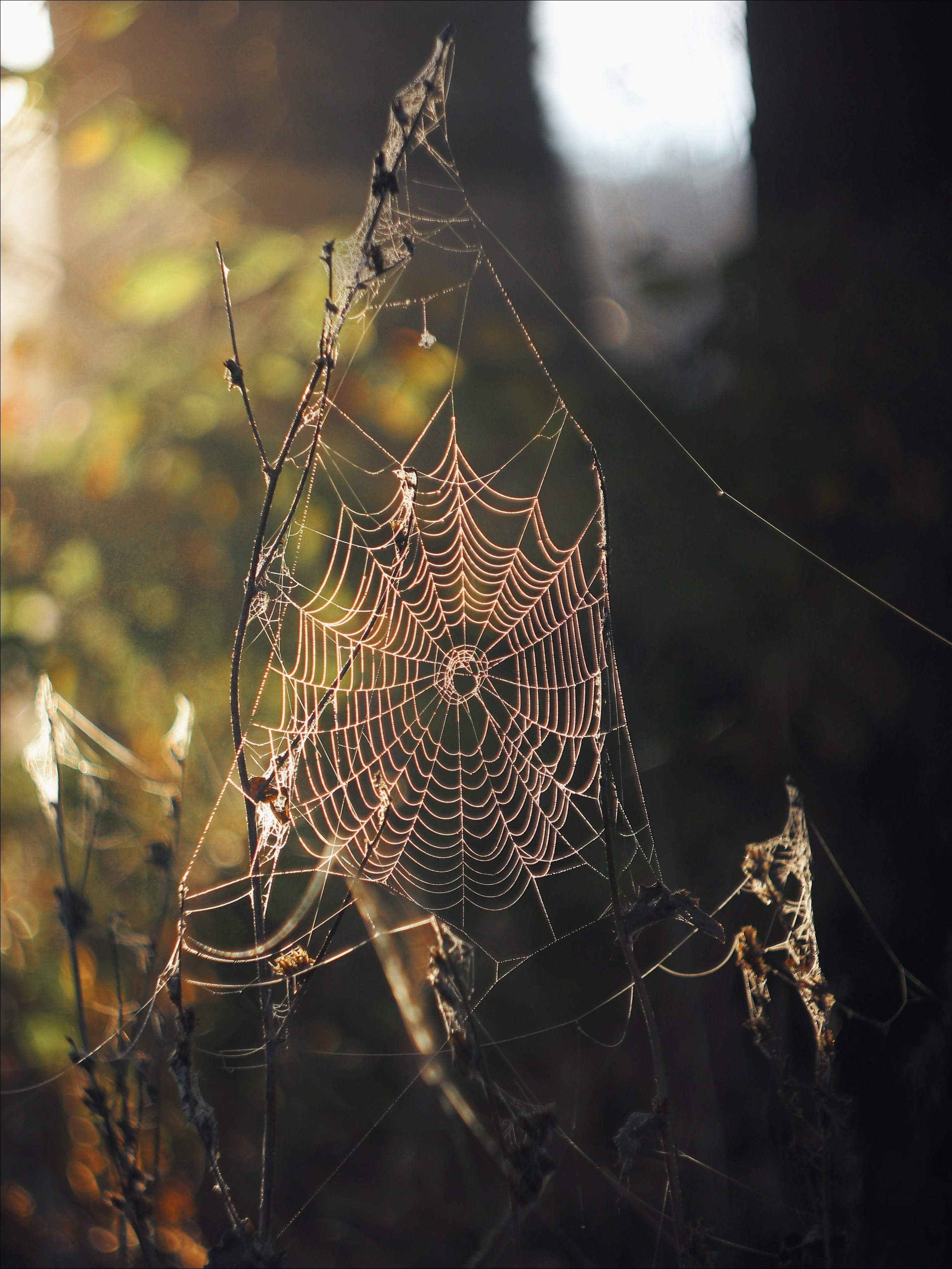 Опустошенность. С любовью, фотохудожник