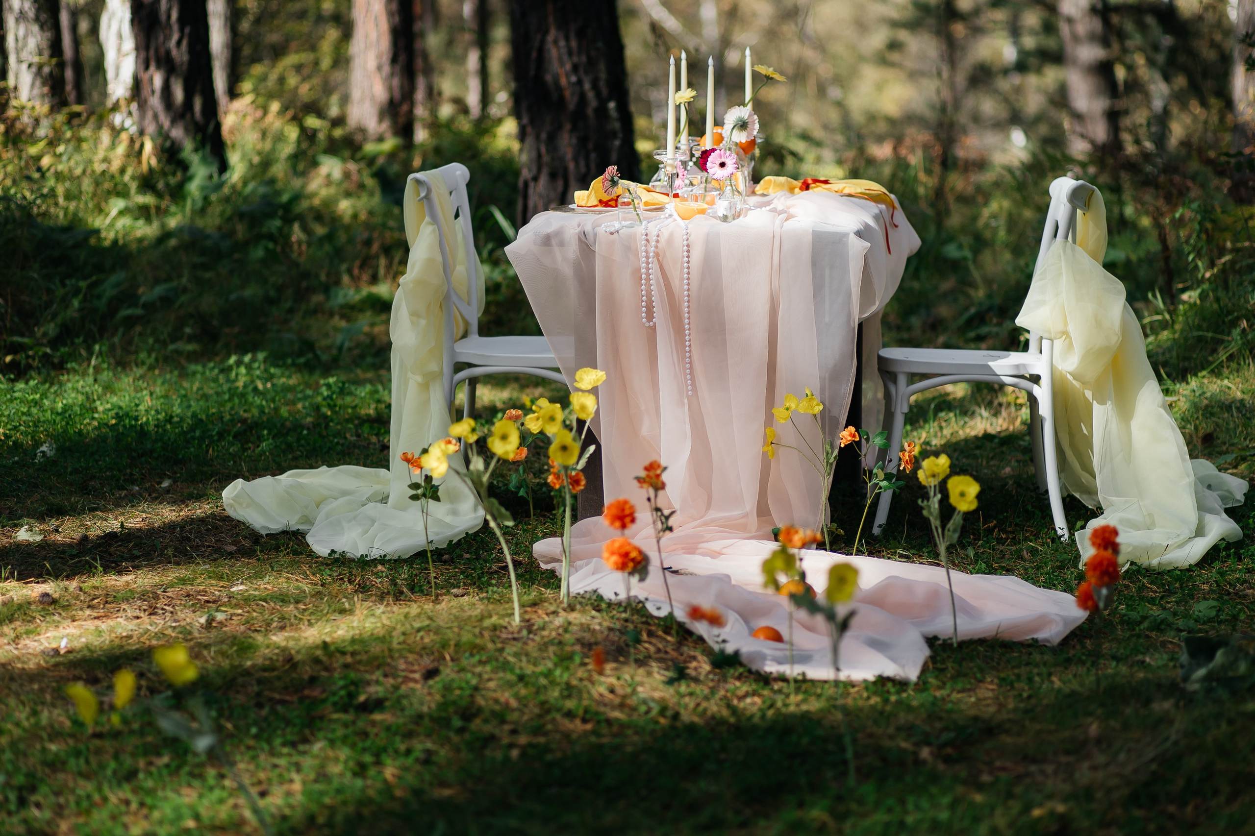 Егор и Юля. Организатор мероприятий в Абакане I Ольга Петухова