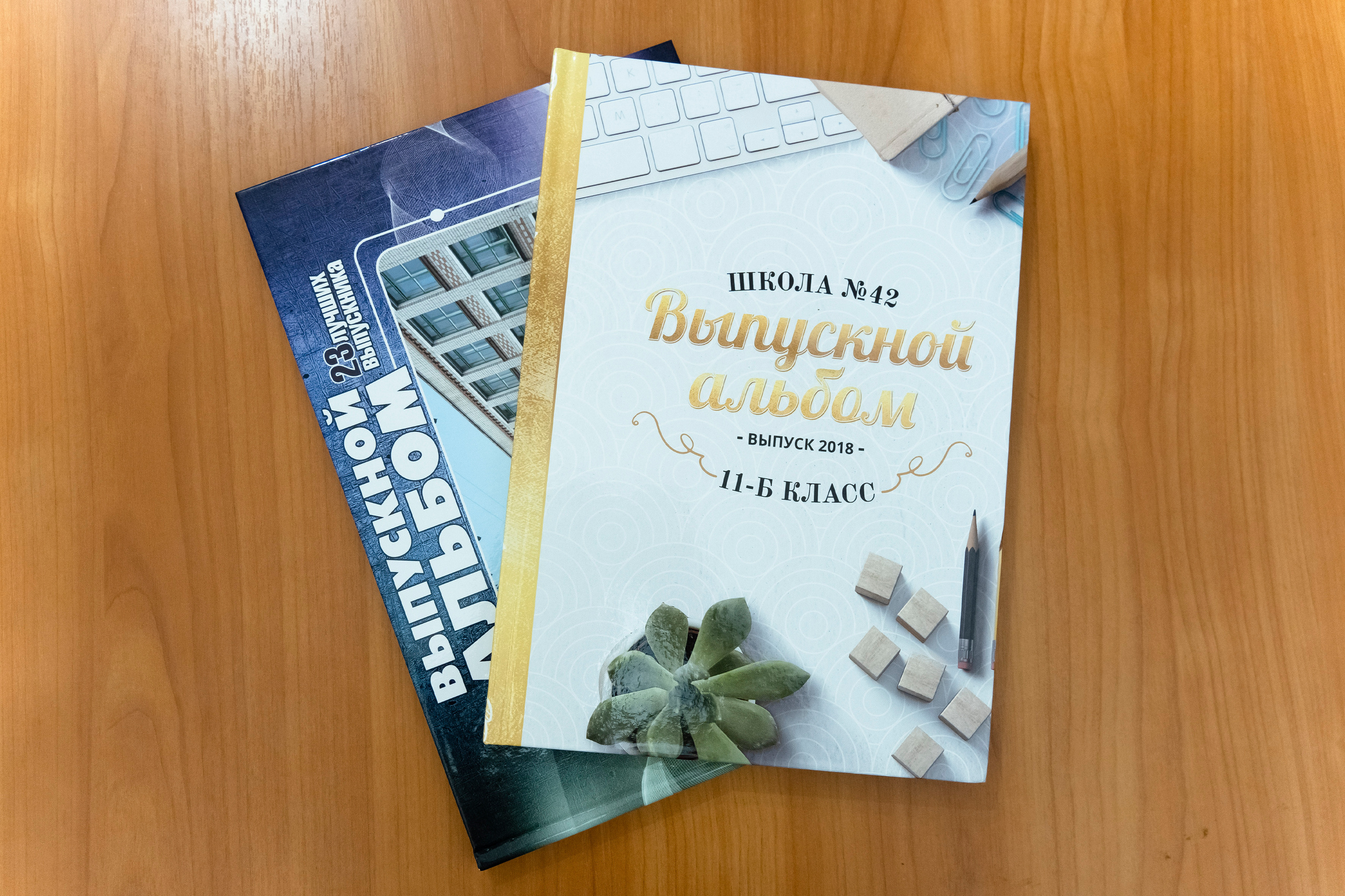 9 -11 классы выпускные альбомы. Семейный фотограф Владимир Просвиркин. г. Самара