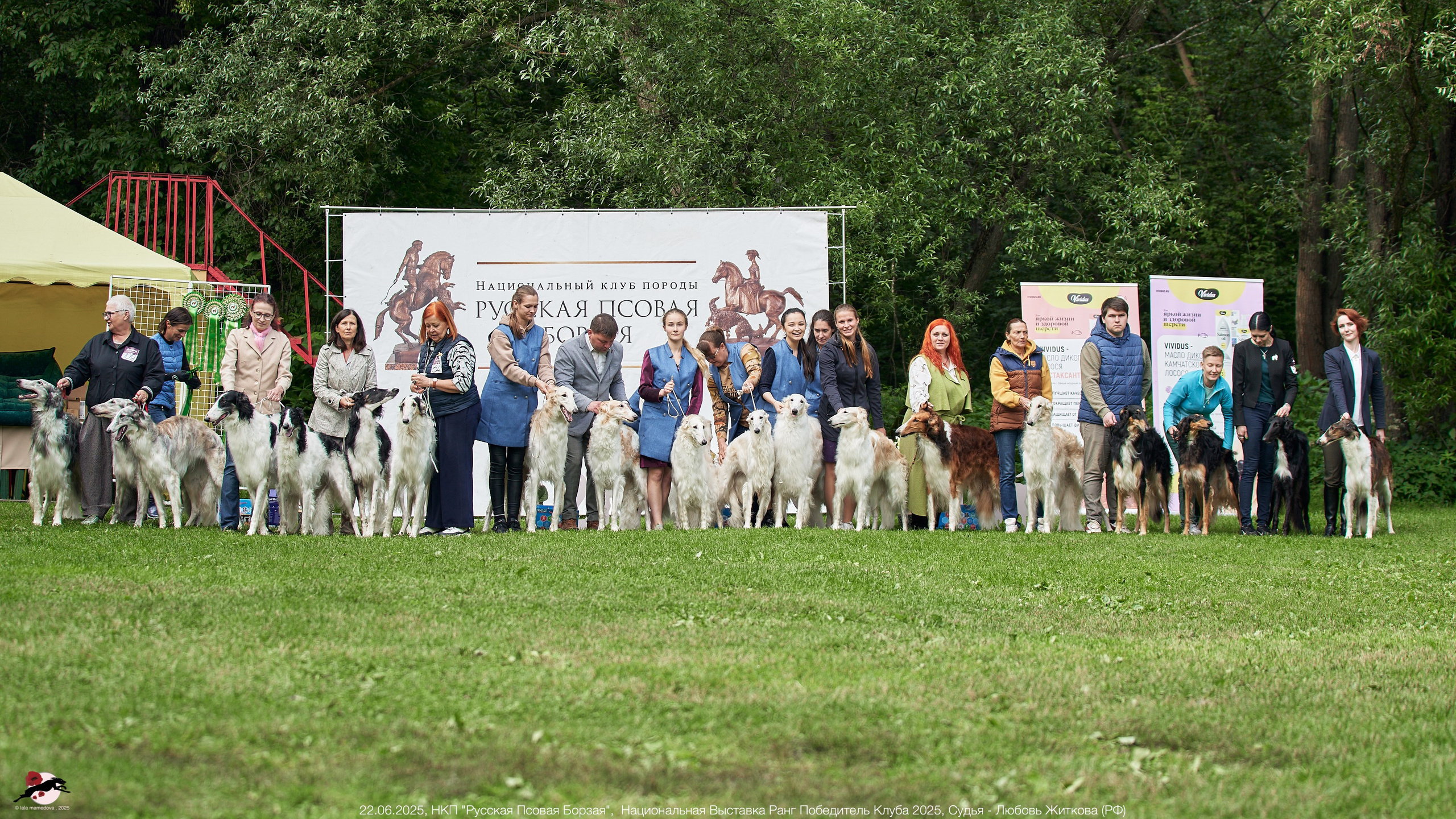 22.06.2025 | Национальная Выставка НКП "Русская Псовая Борзая"
