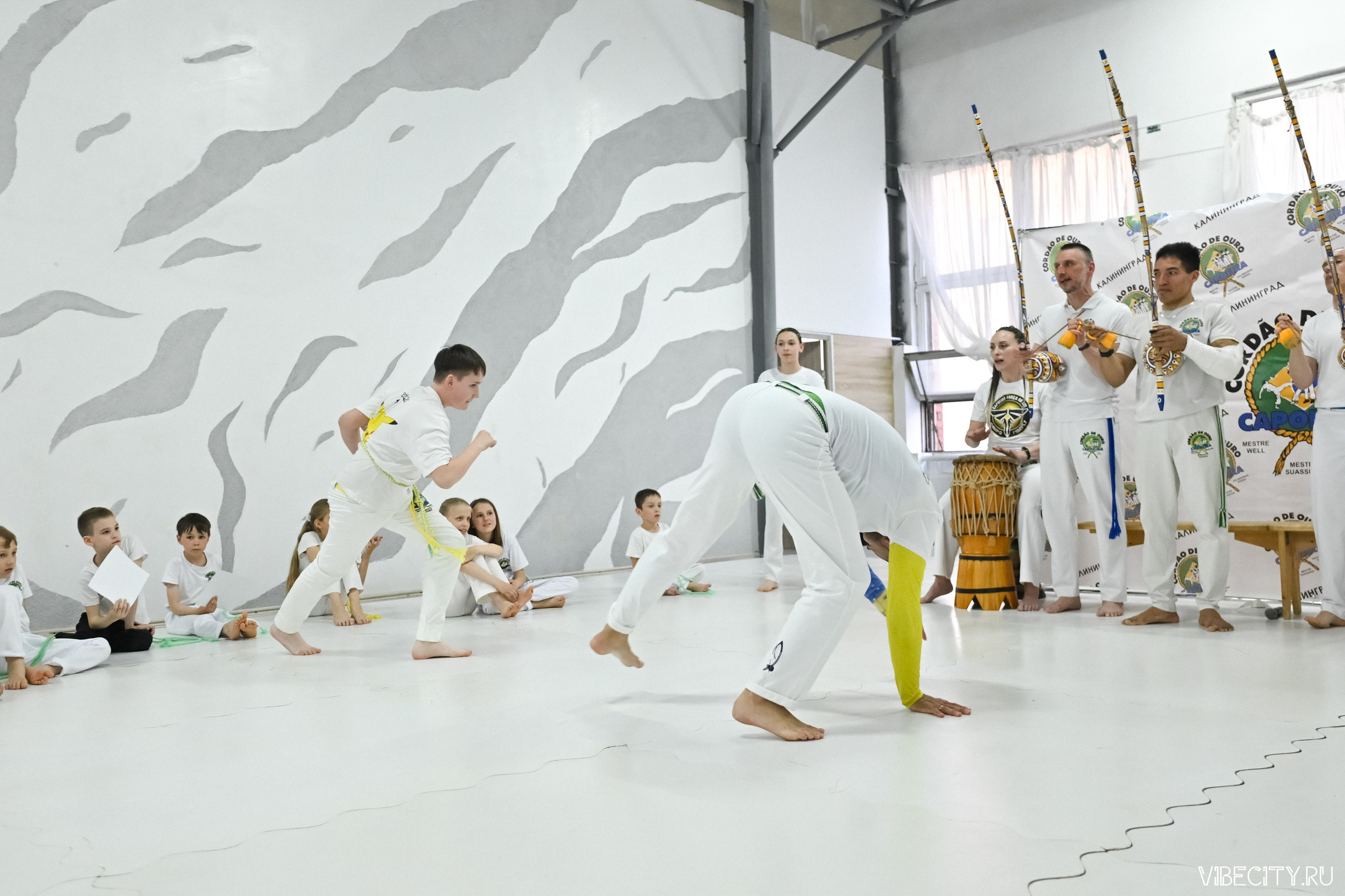 Capoeira: 4-е batizado e Troca de cordao. VIBECITY.RU Вайб Сити Ру Фоторепортажи Фотоотчеты Калининград