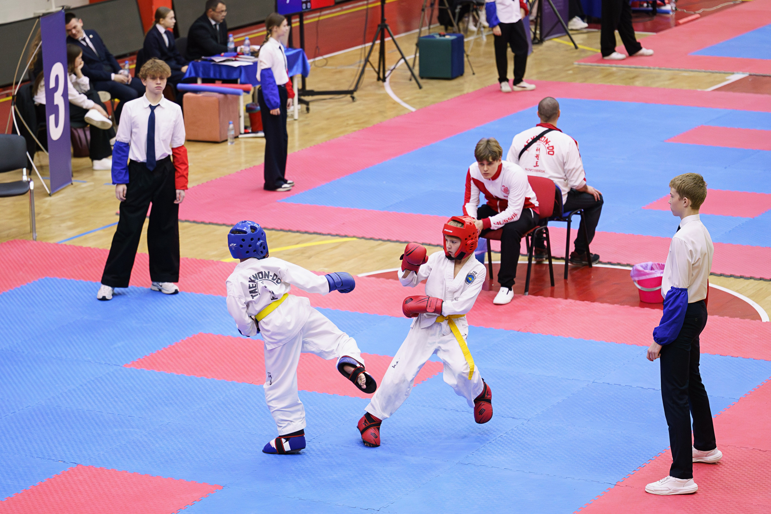 Соревнования Тхэквандо 23.11.2025. Фотограф Наталья Соколовская. Новосибирск