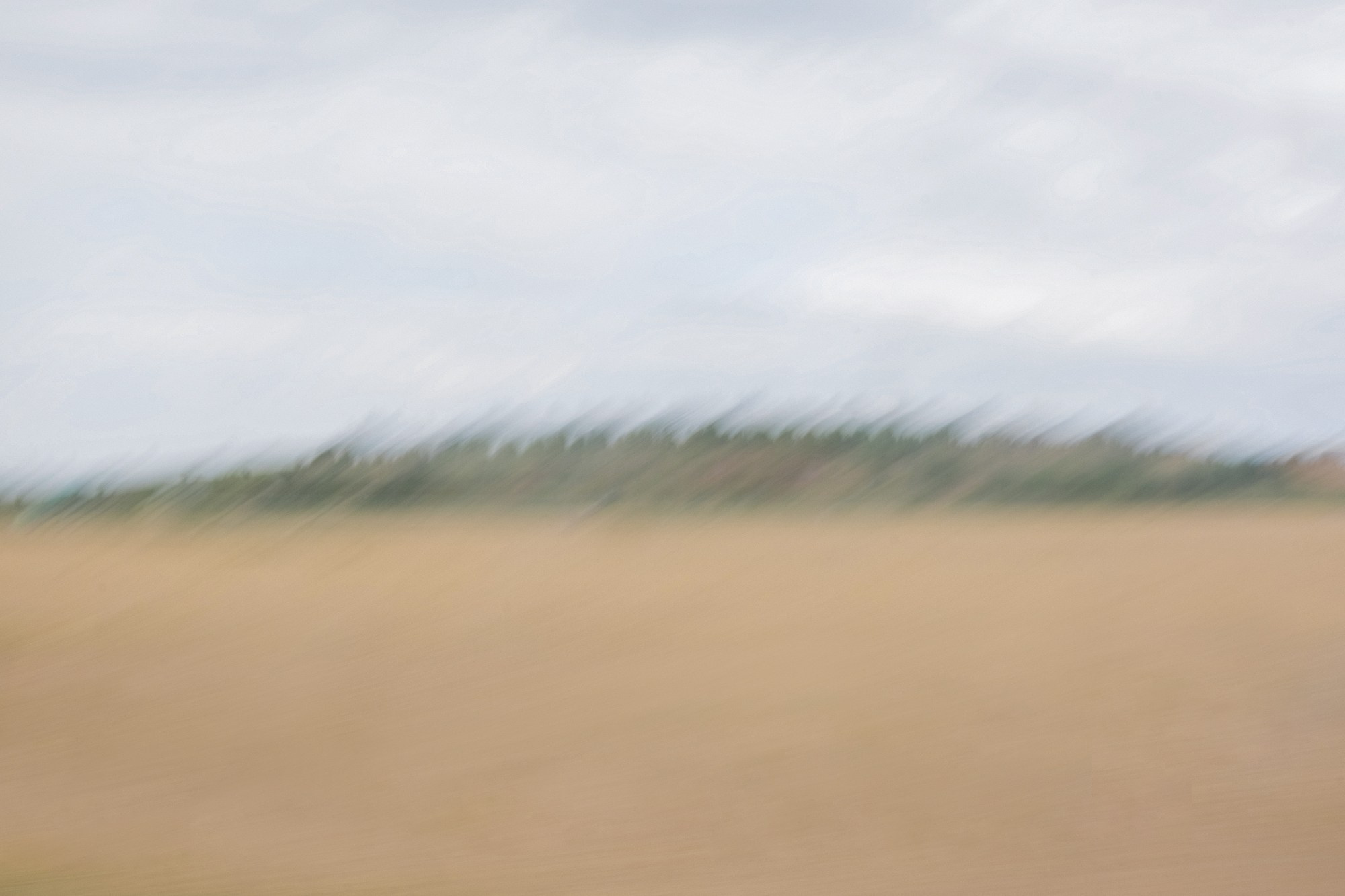 Дорожный импрессионизм / Road impressionism. Visual artist Olga Burmistrova