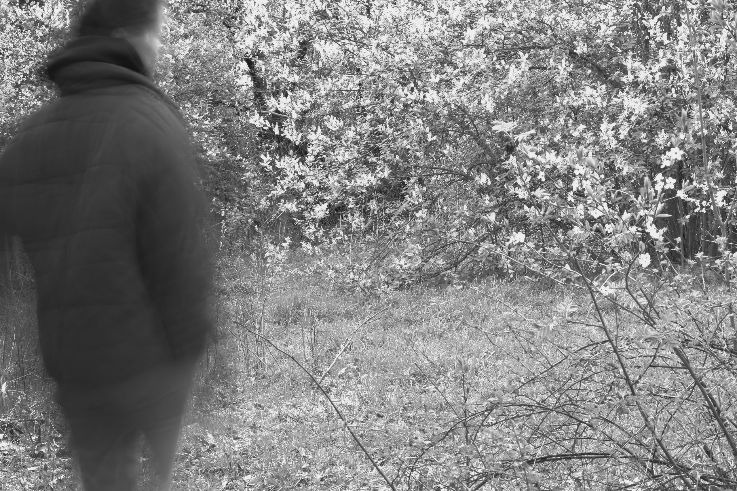 Волны. Главная