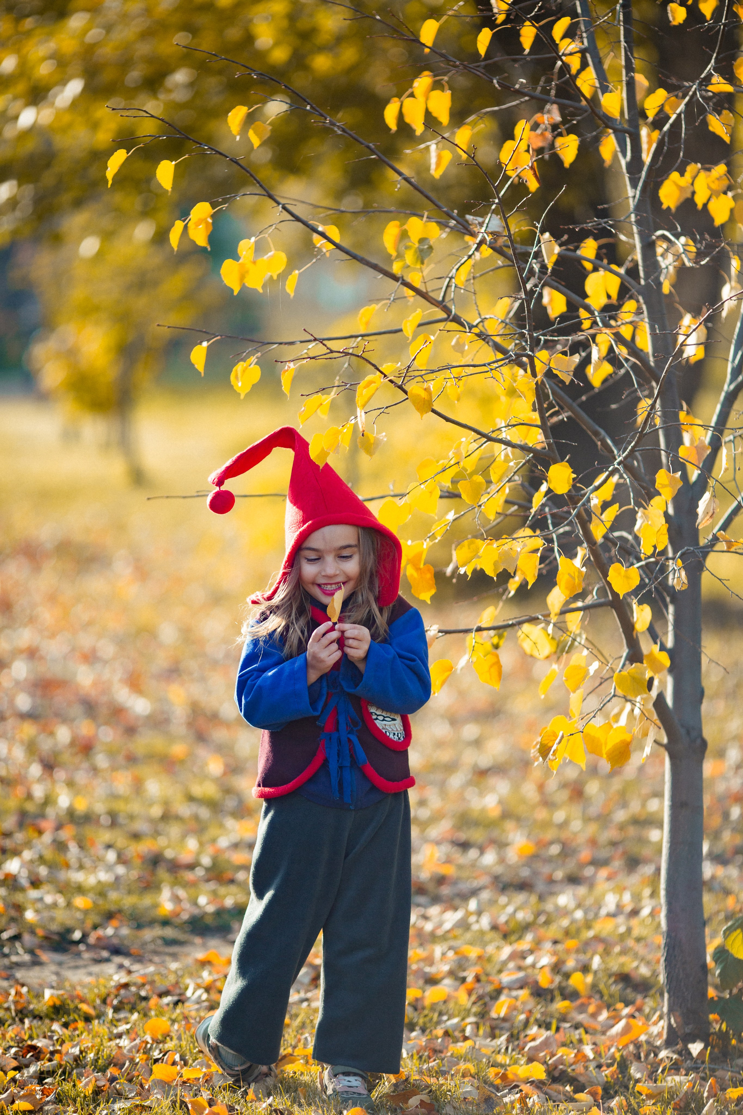 Лесные гномы