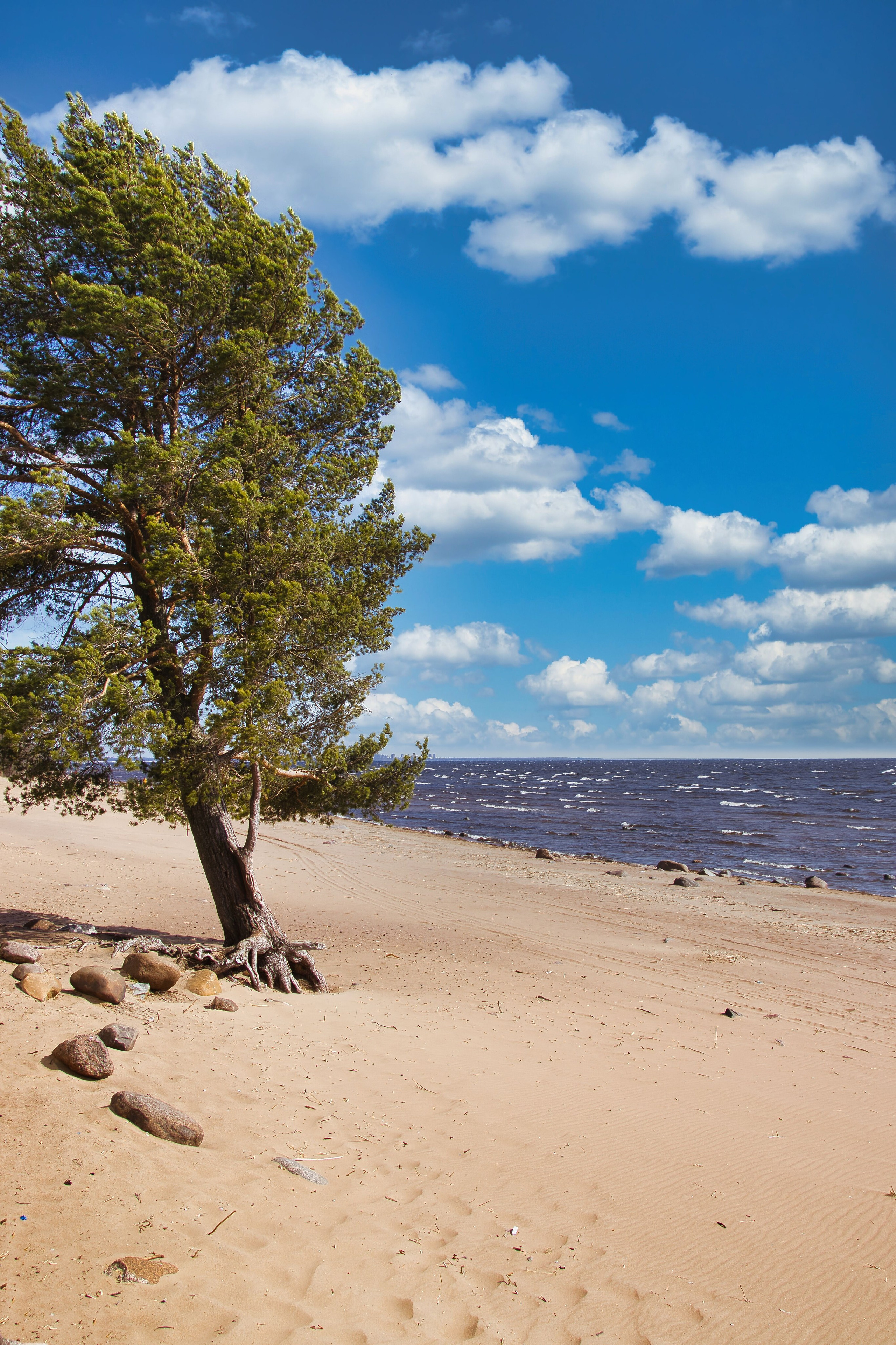 Фотограф в Санкт-Петербурге Георгий Елецких