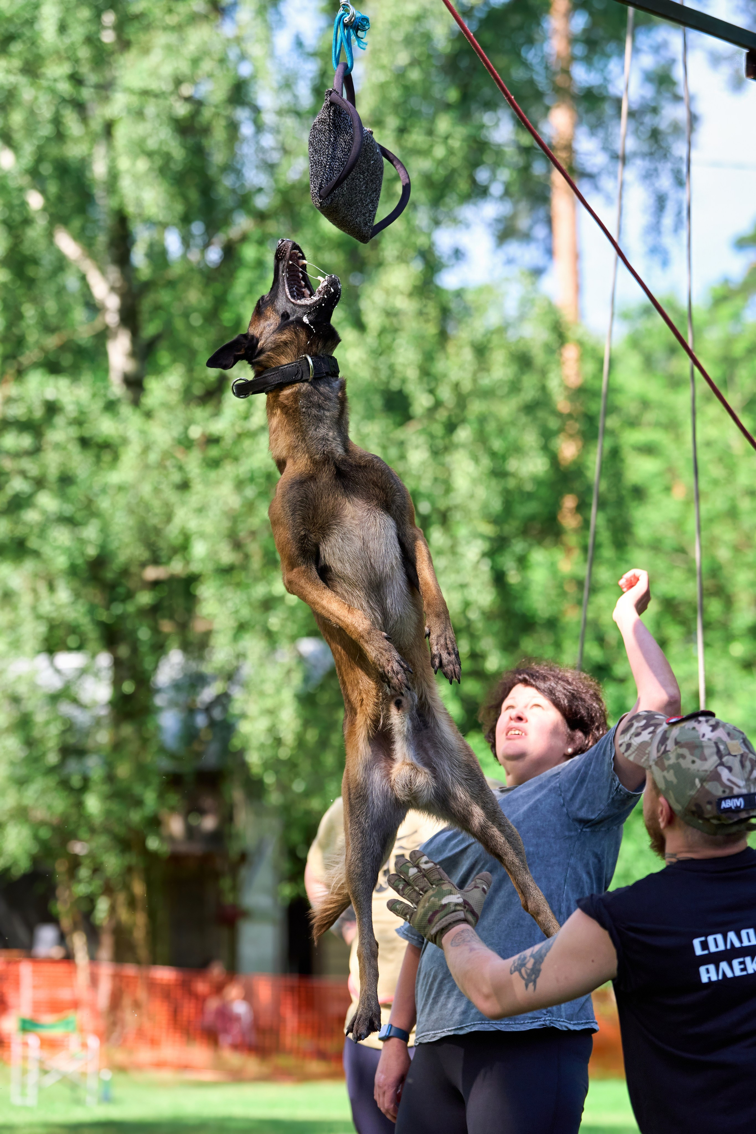 Двухдневные соревнования «Jump'n'Gym Fest — 2024». Фотограф-анималист Михаил Манухин