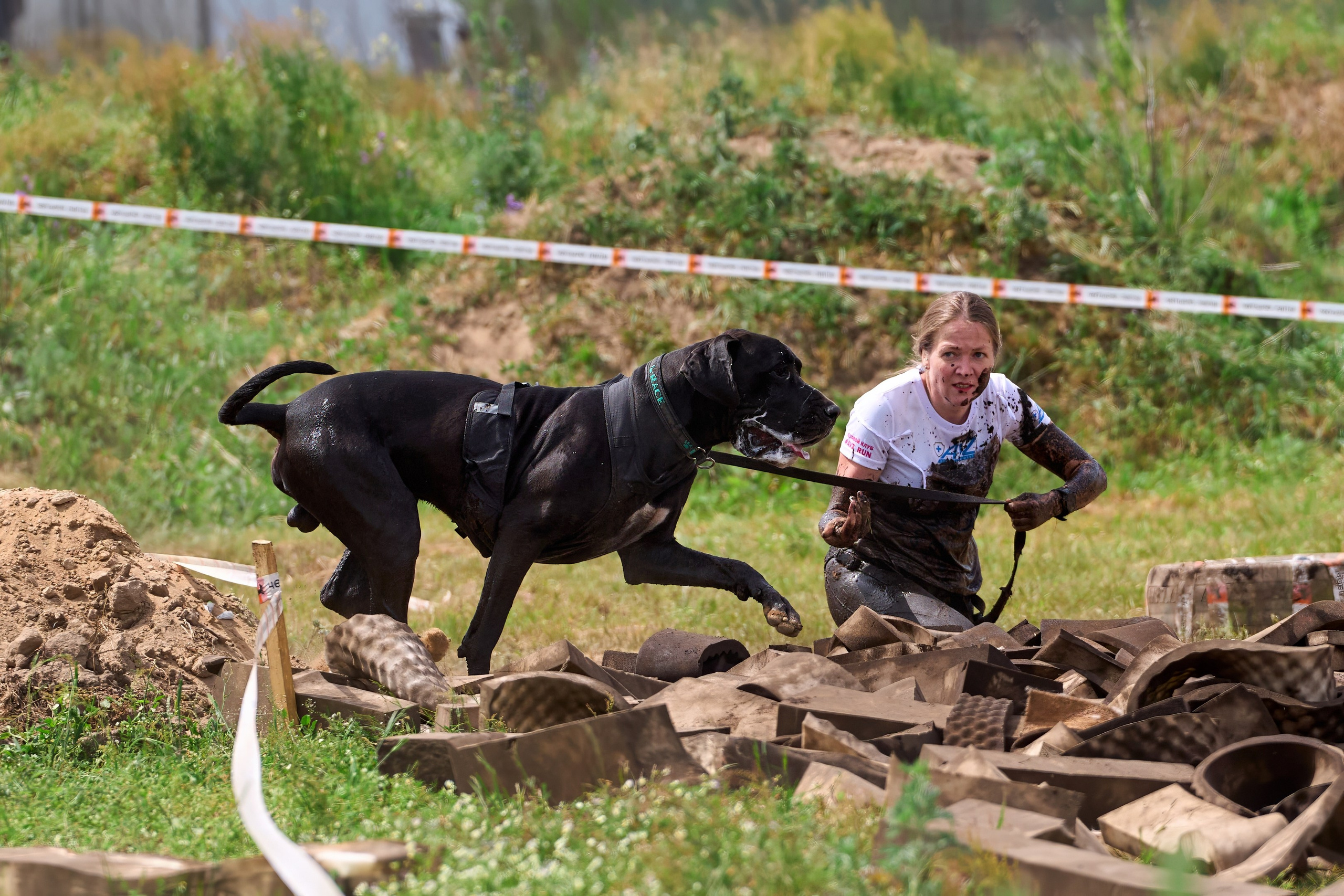 Хвостатый драйв — 2024. Фотограф-анималист Михаил Манухин