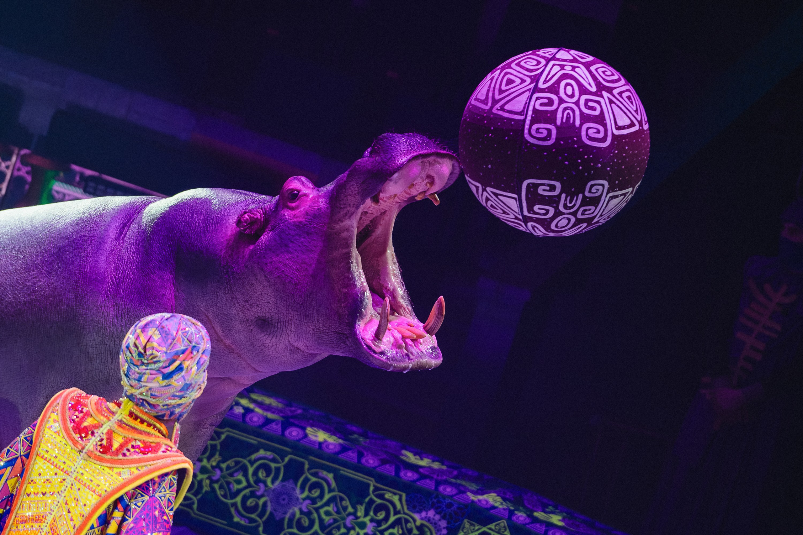 Пресс-показ шоу «Песчаная Сказка». Воробьева Ксения — Спортивный и танцевальный фотограф Новосибирск