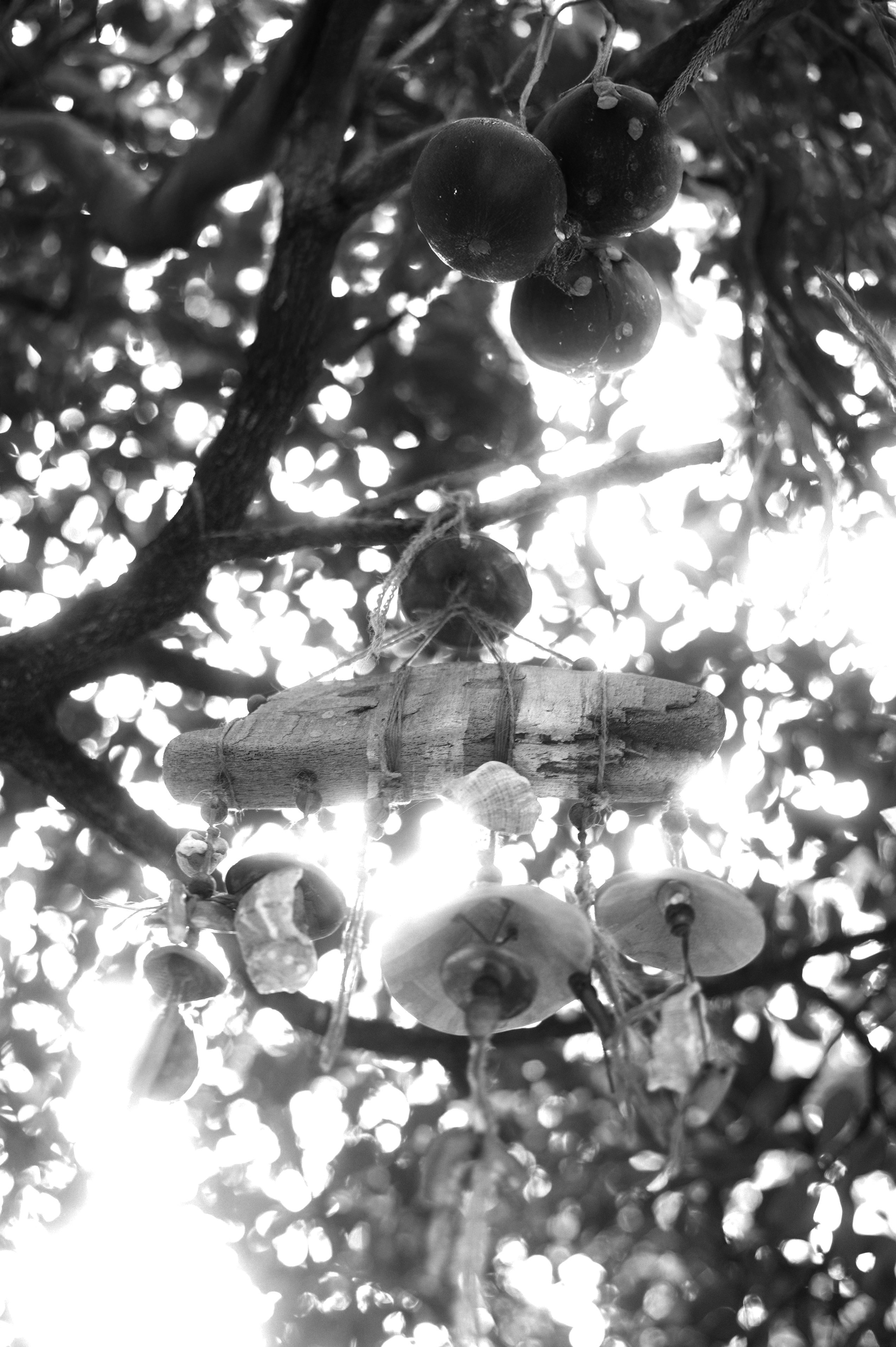 Фотограф в Сочи — Алексей Самсонов. Репортажный фотограф Сочи