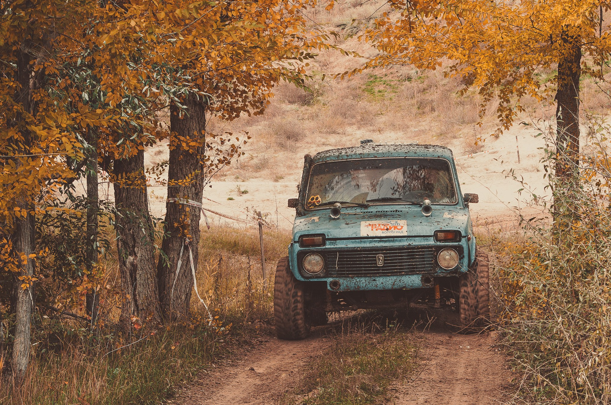 Нива в осеннем лесу