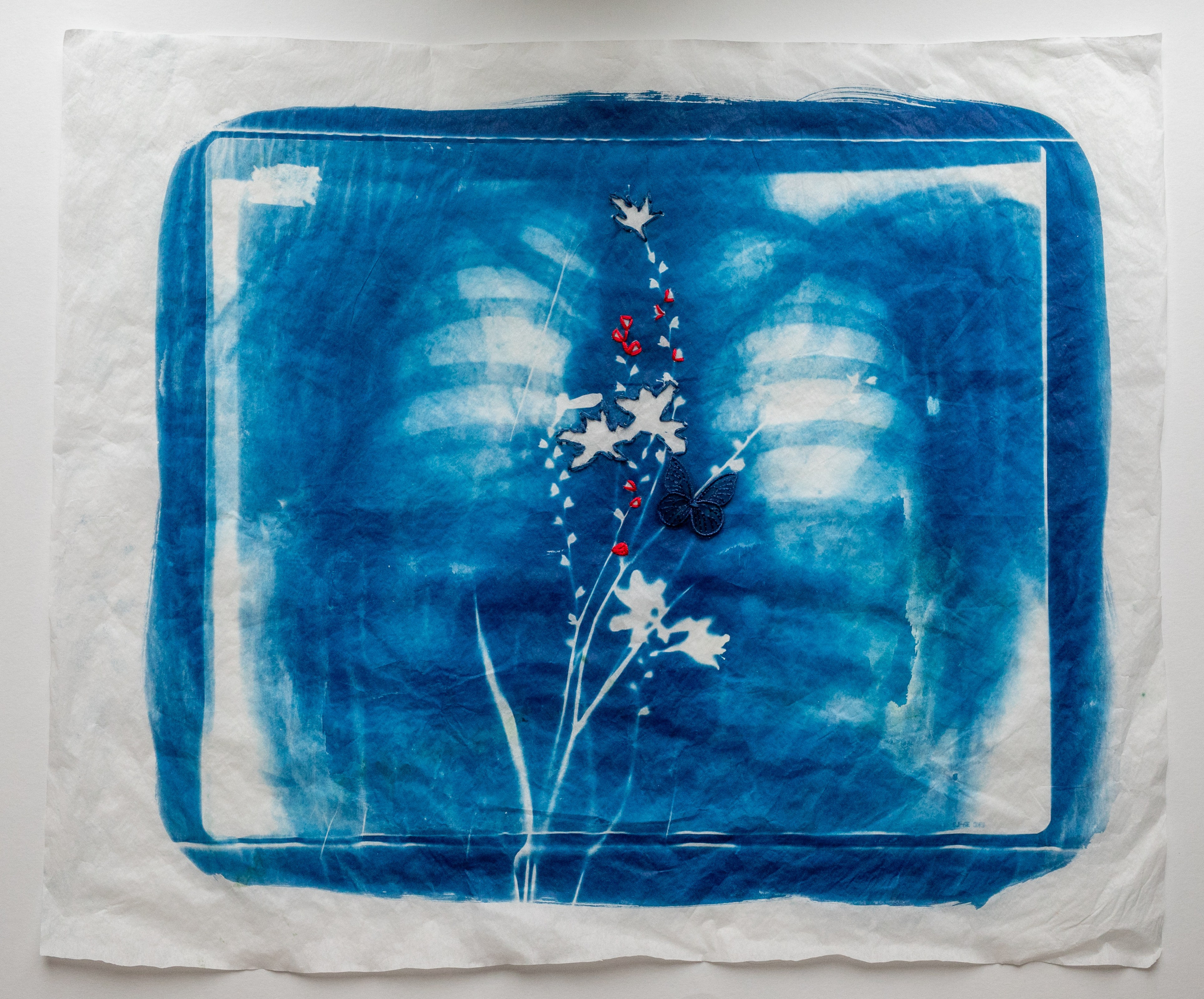 CYANOTYPE. CONTEMPORARY ARTIST OLGA ANDRIYASH