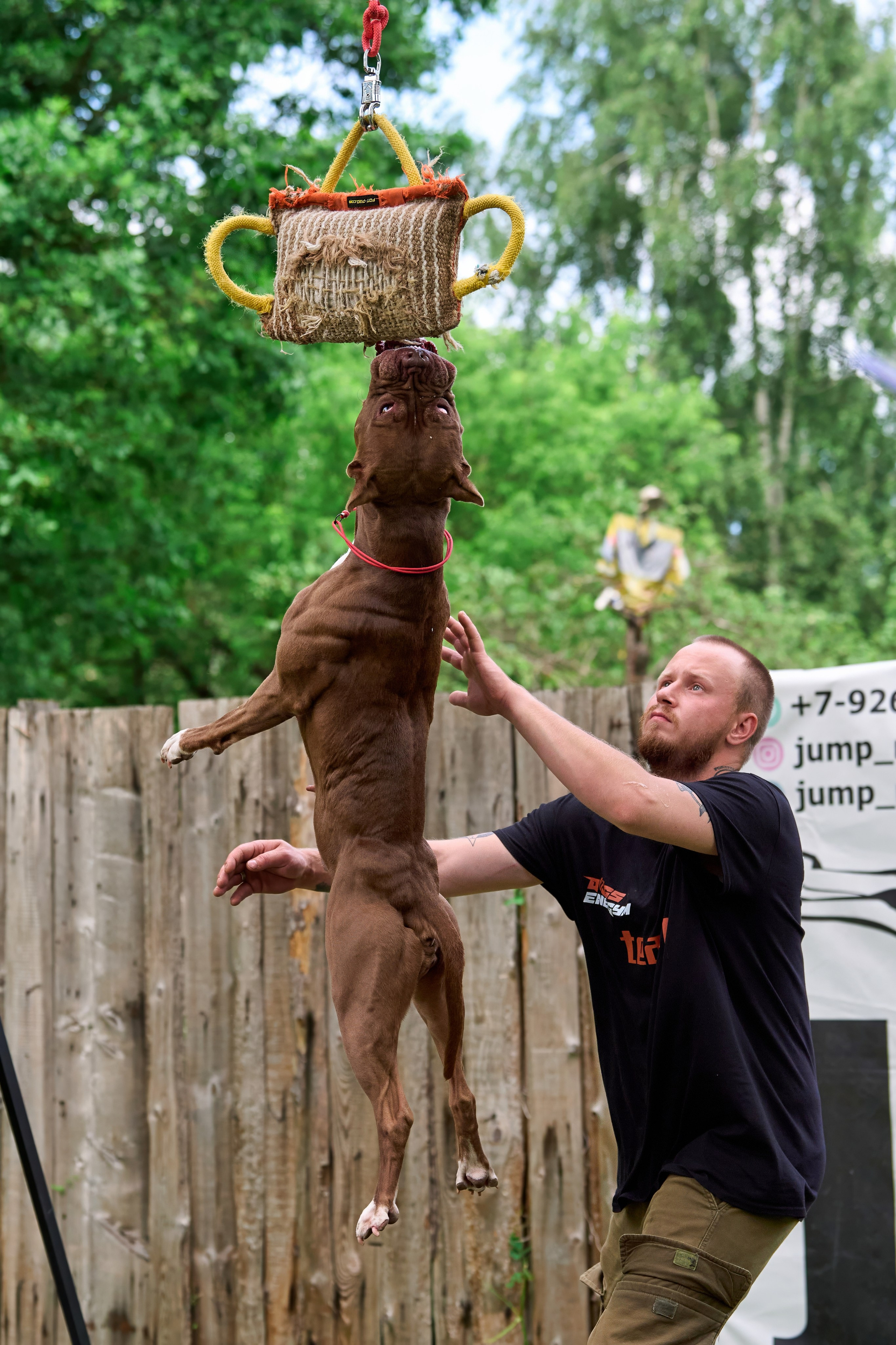 Двухдневные соревнования «Jump'n'Gym Fest — 2024». Фотограф-анималист Михаил Манухин