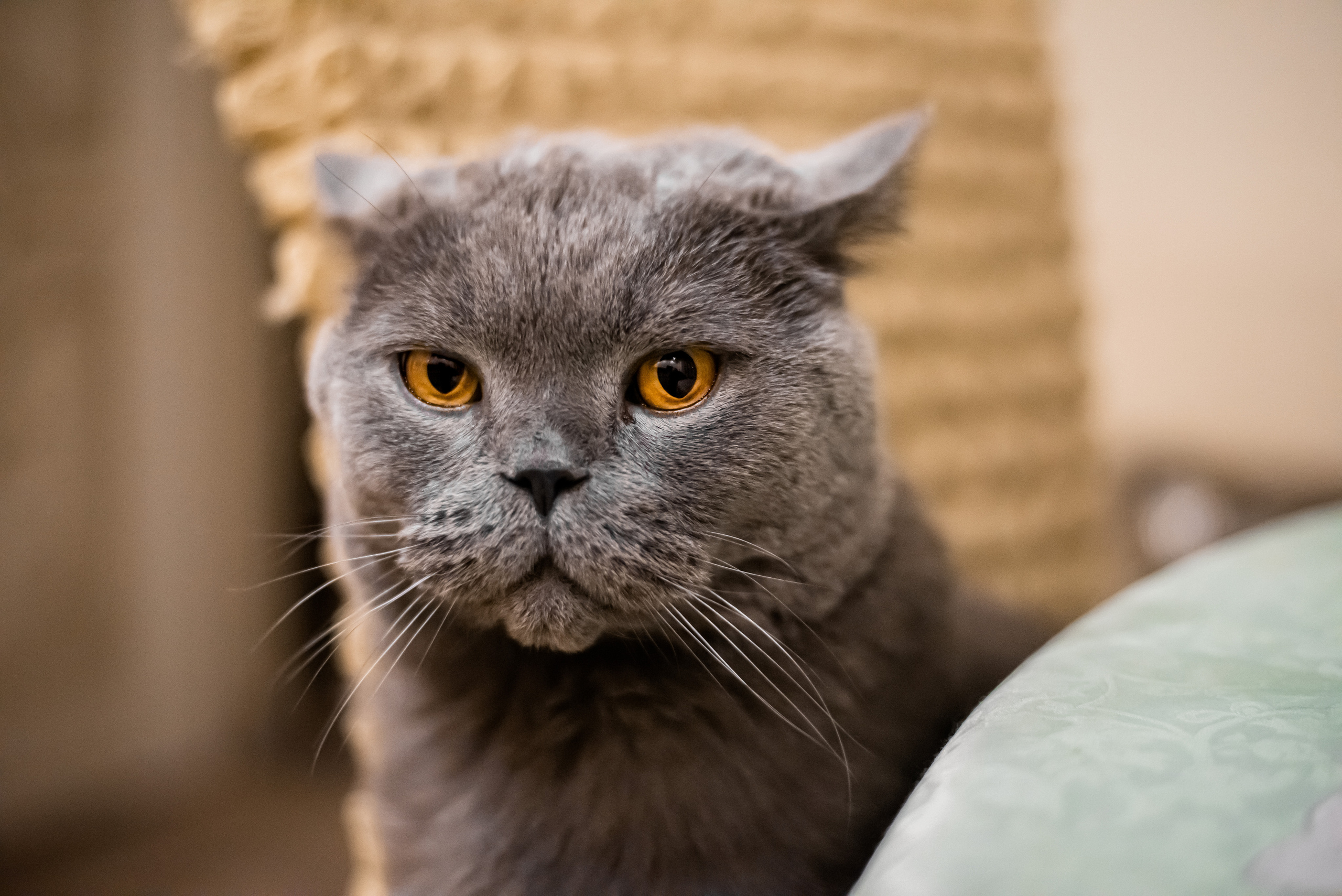 Фотограф Максим Серебряков Москва