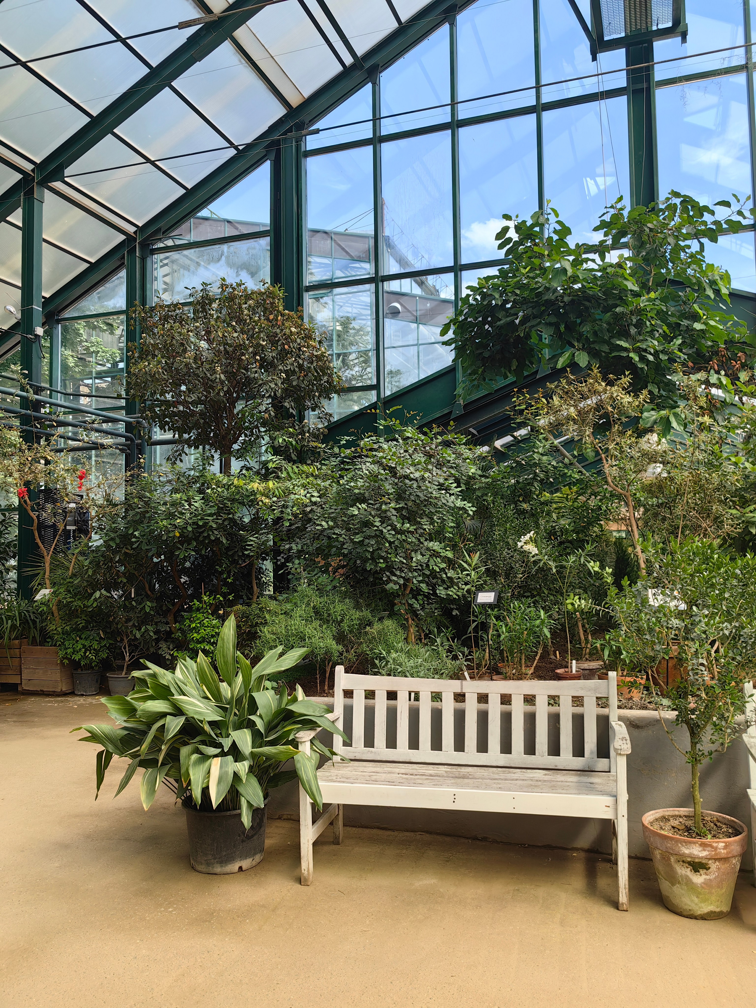 Парк АПТЕКАРСКИЙ ОГОРОД обзор. Фотограф в Москве и Московской области (Ю-В) Олеся Макарова