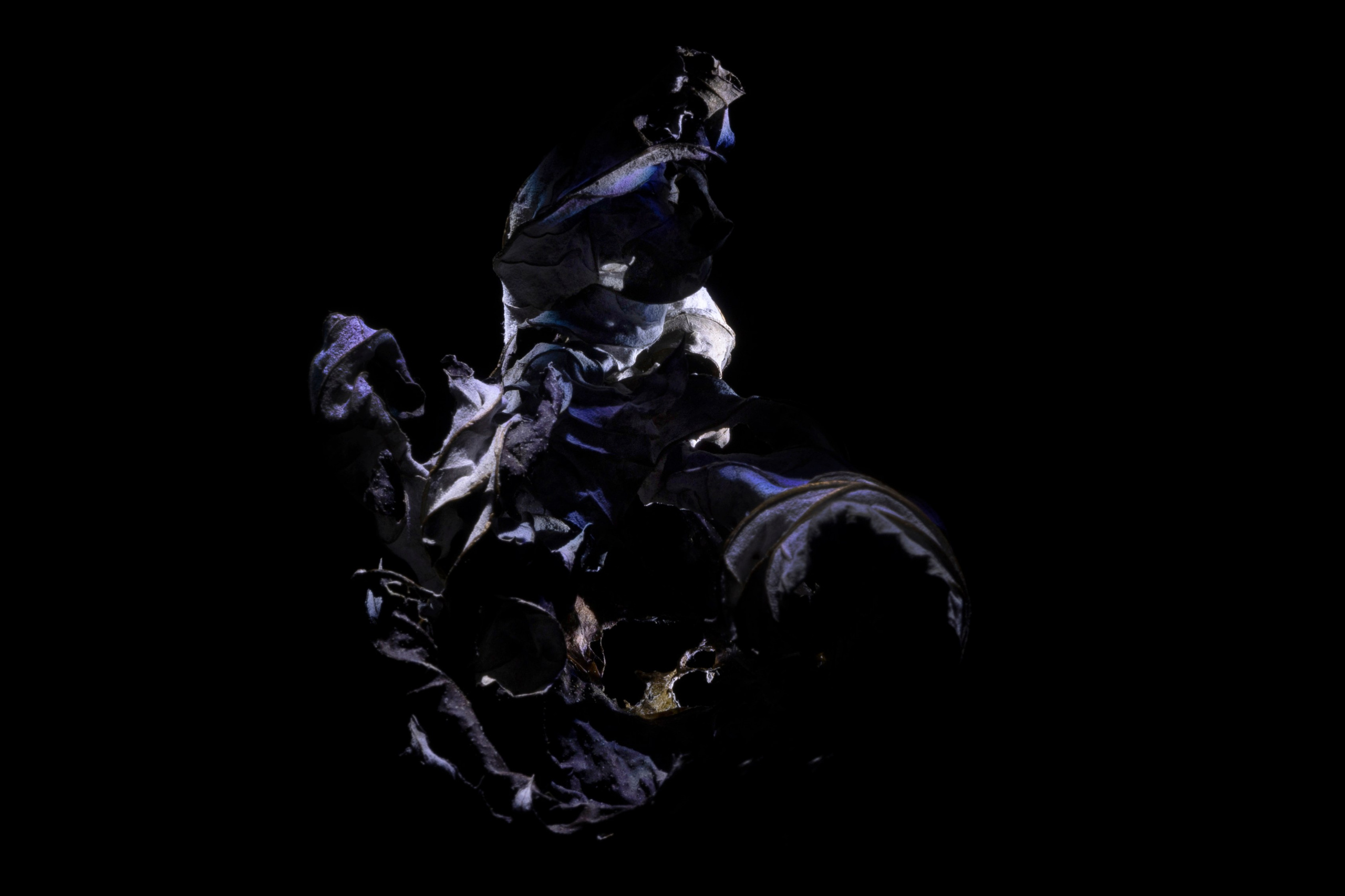 «Тебе кажется…?». Арт-фотограф во Владивостоке Дмитрий Осипчук