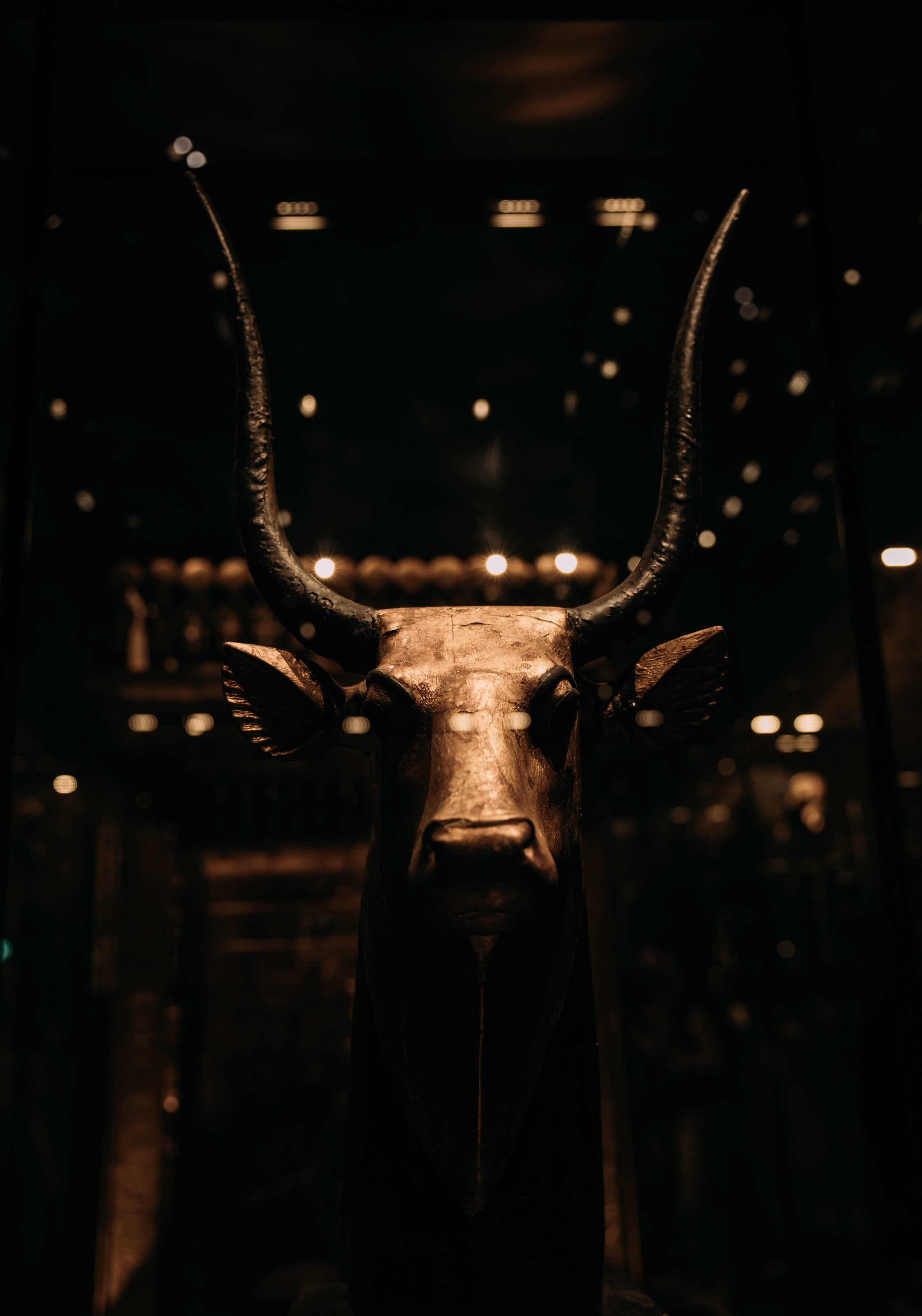 Фотограф Марина Аблаева-Кожедуб