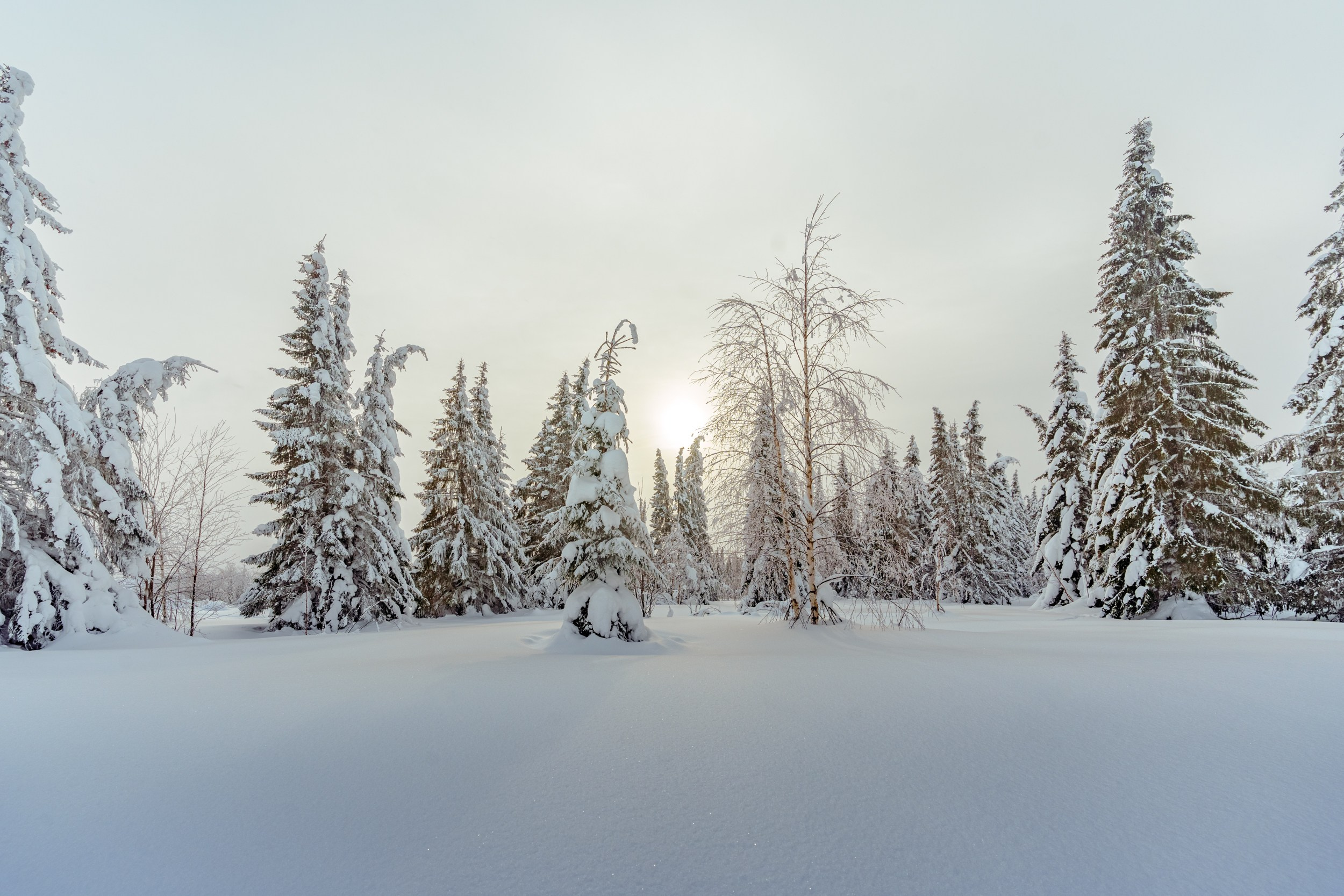 Зимняя сказка Пермского края