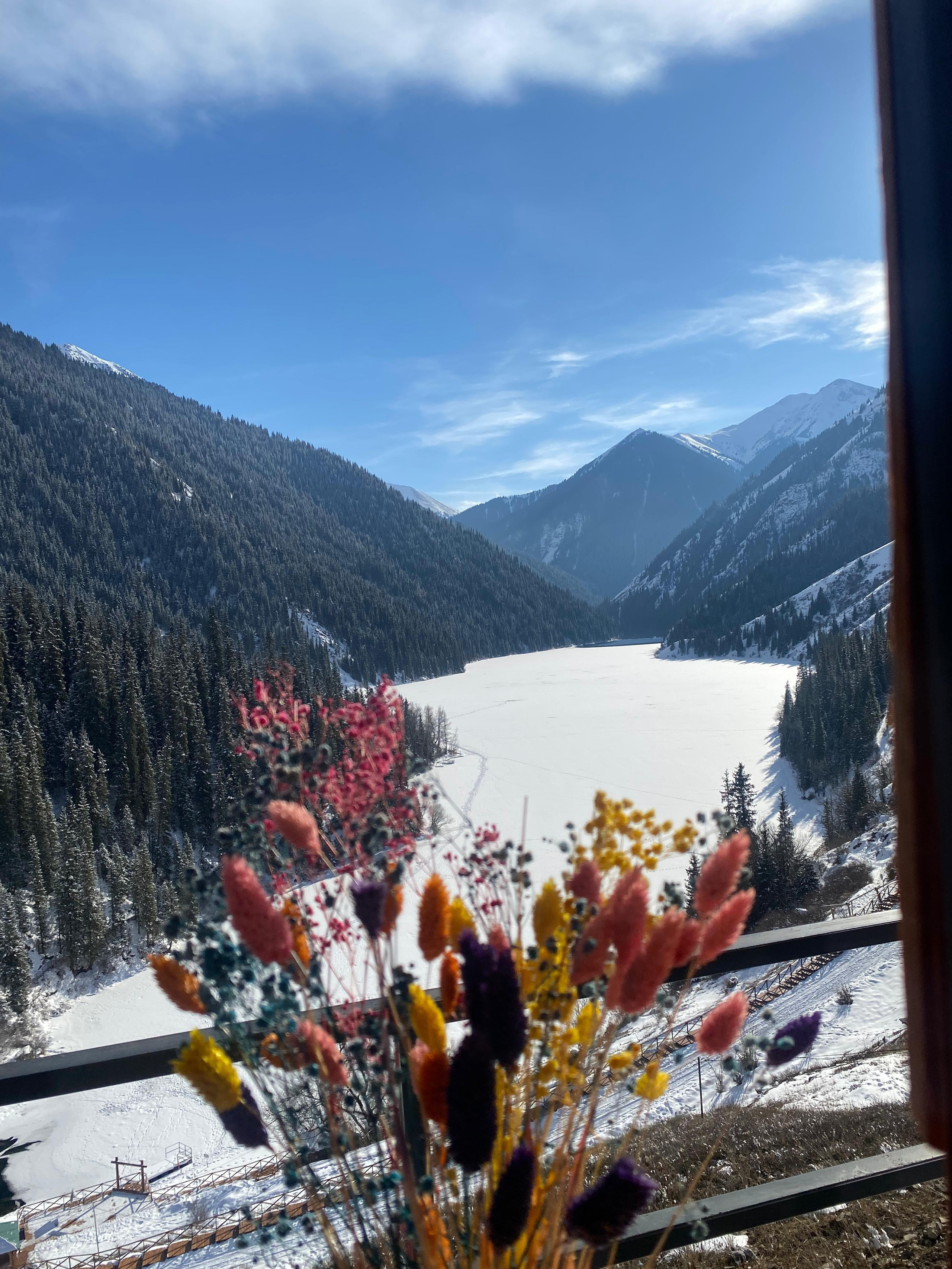 Зимний пейзаж с видом на замерзшее озеро Кольсай в Алматинской области в Казахстане, окруженное горными хребтами и хвойным лесом. Озеро покрыто слоем льда и снега, белая поверхность гармонично сочетается с темно-зелеными деревьями. На переднем плане в фокусе находятся яркие сухоцветы: разноцветные пушистые веточки в розовых, желтых, фиолетовых и оранжевых тонах. Голубое небо с легкими облаками подчеркивает свежесть и спокойствие сцены.