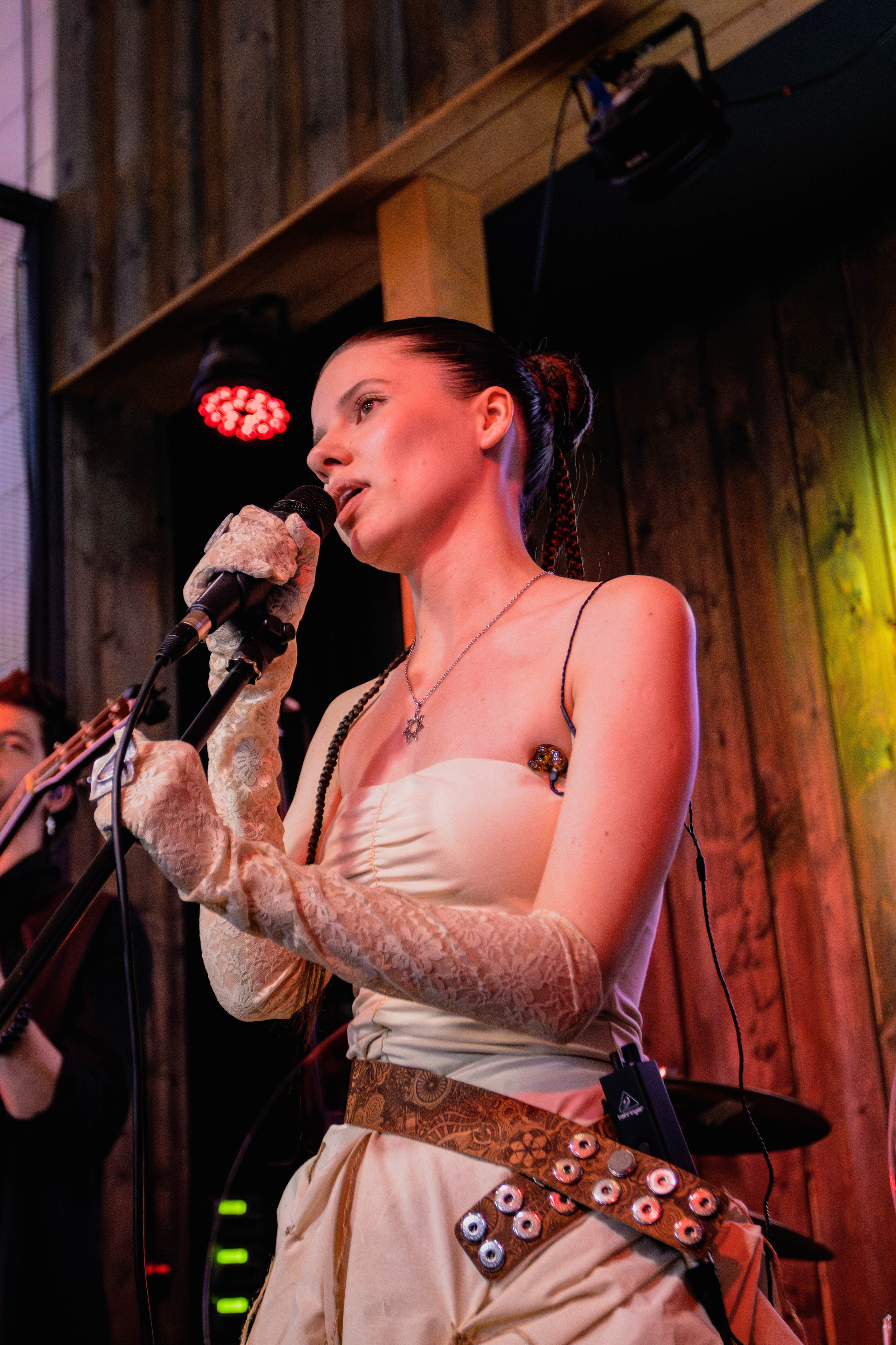 Дикая мята 2025. Концертный фотограф