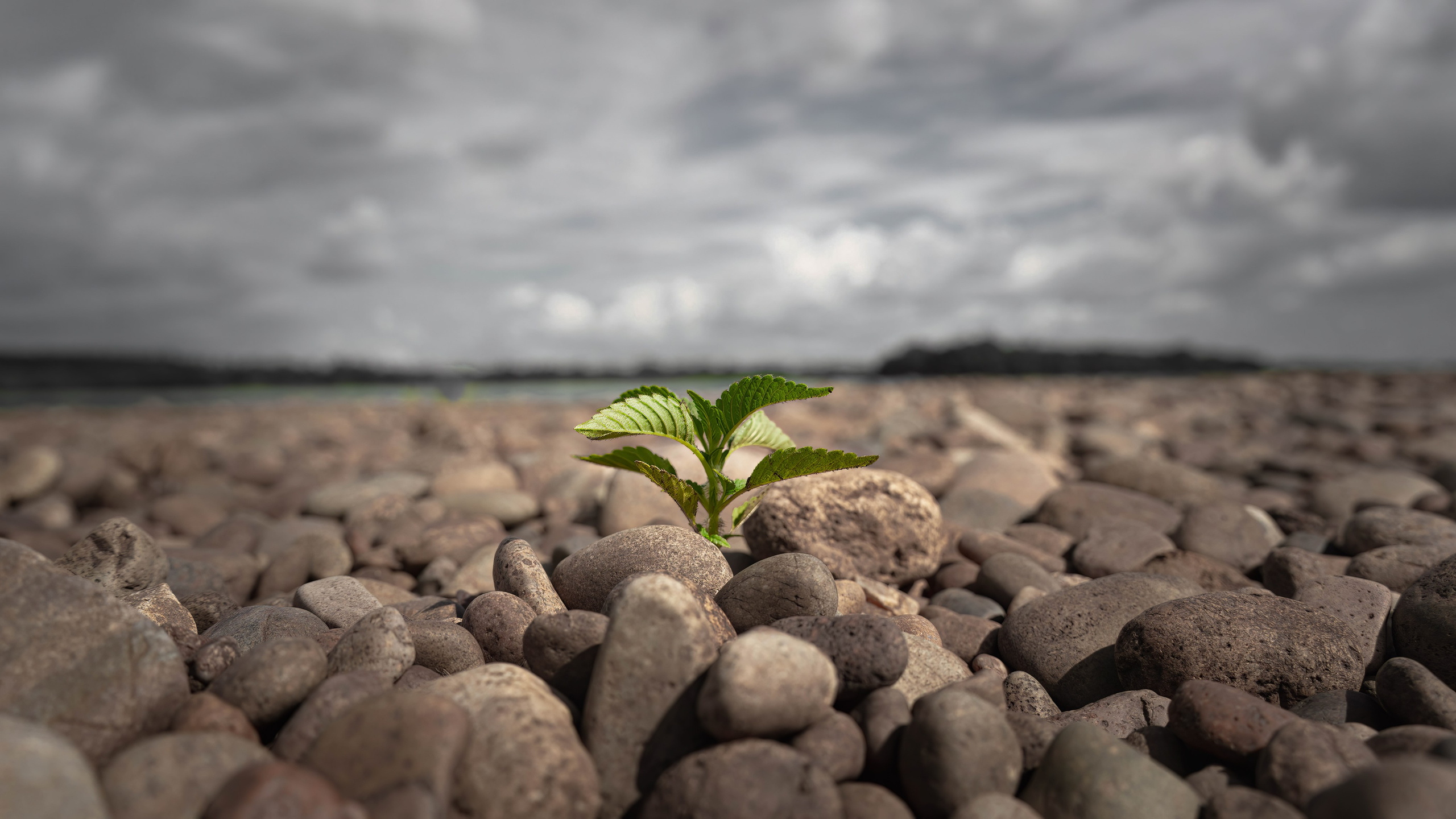 Фотограф и видеограф, видеомонтаж в Амурской области Игорь Иванов