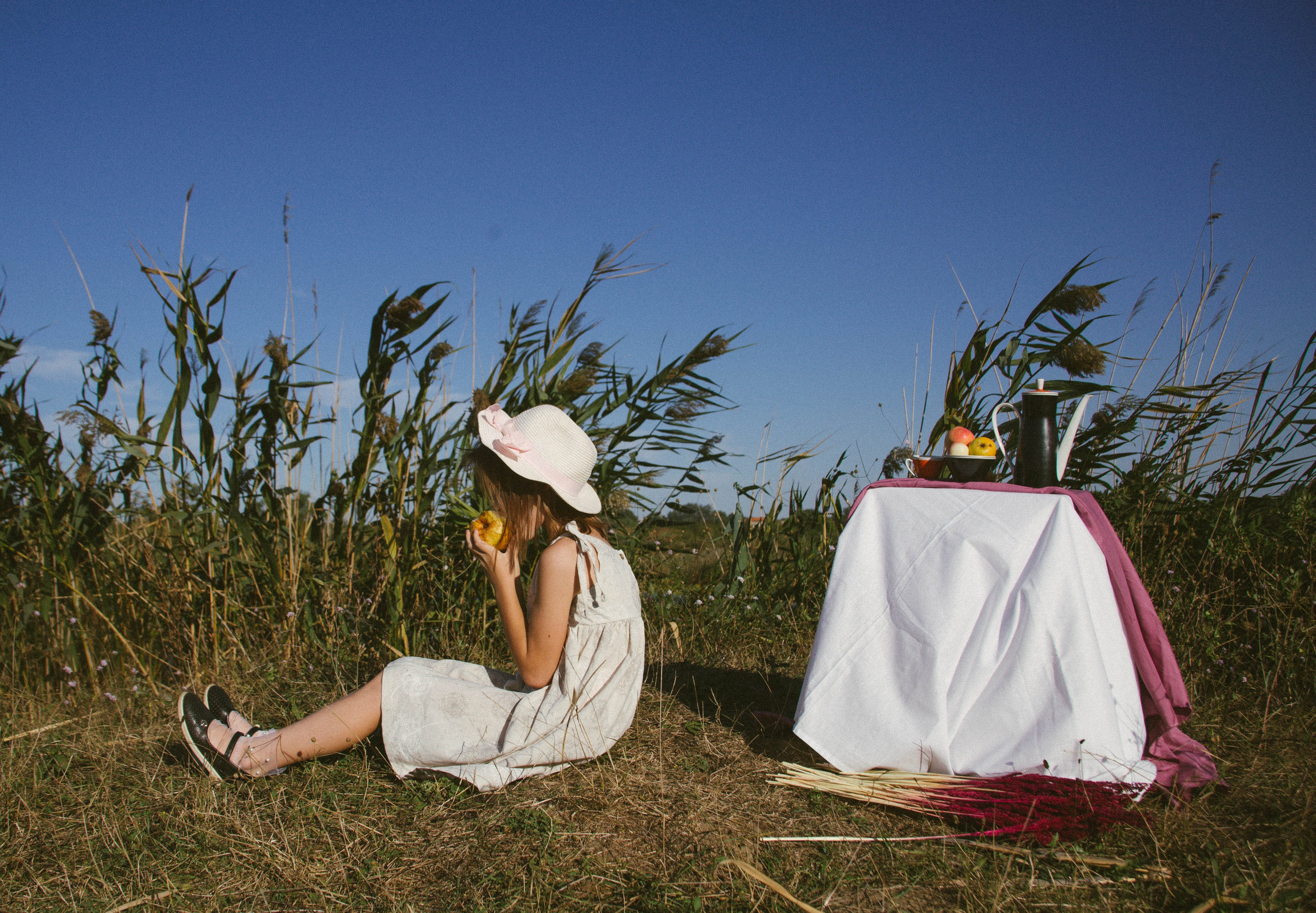 Foto-creator Alisa Zobova