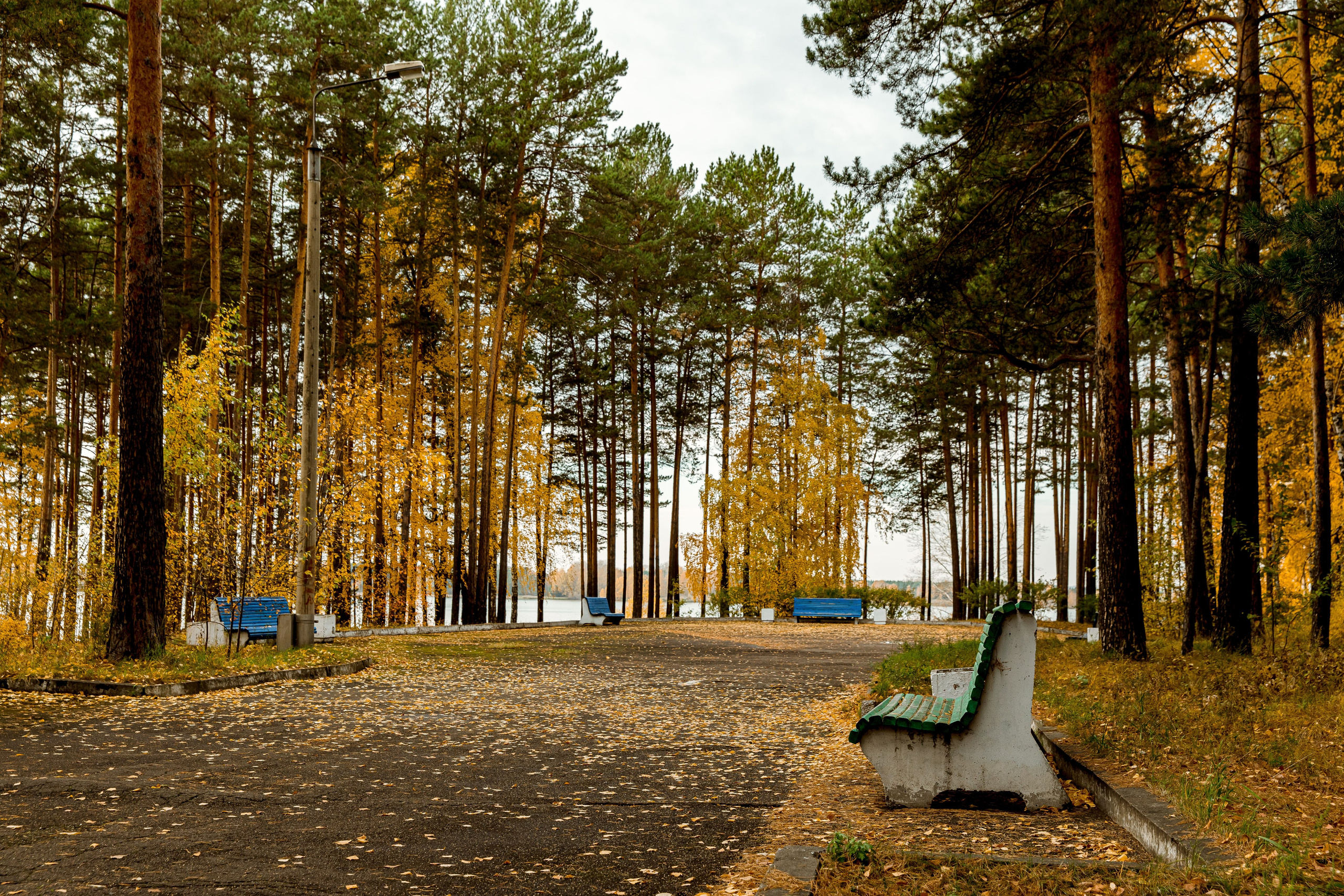 Осень в парке. Семейный и детский фотограф в Железногорске Саламахо Ольга