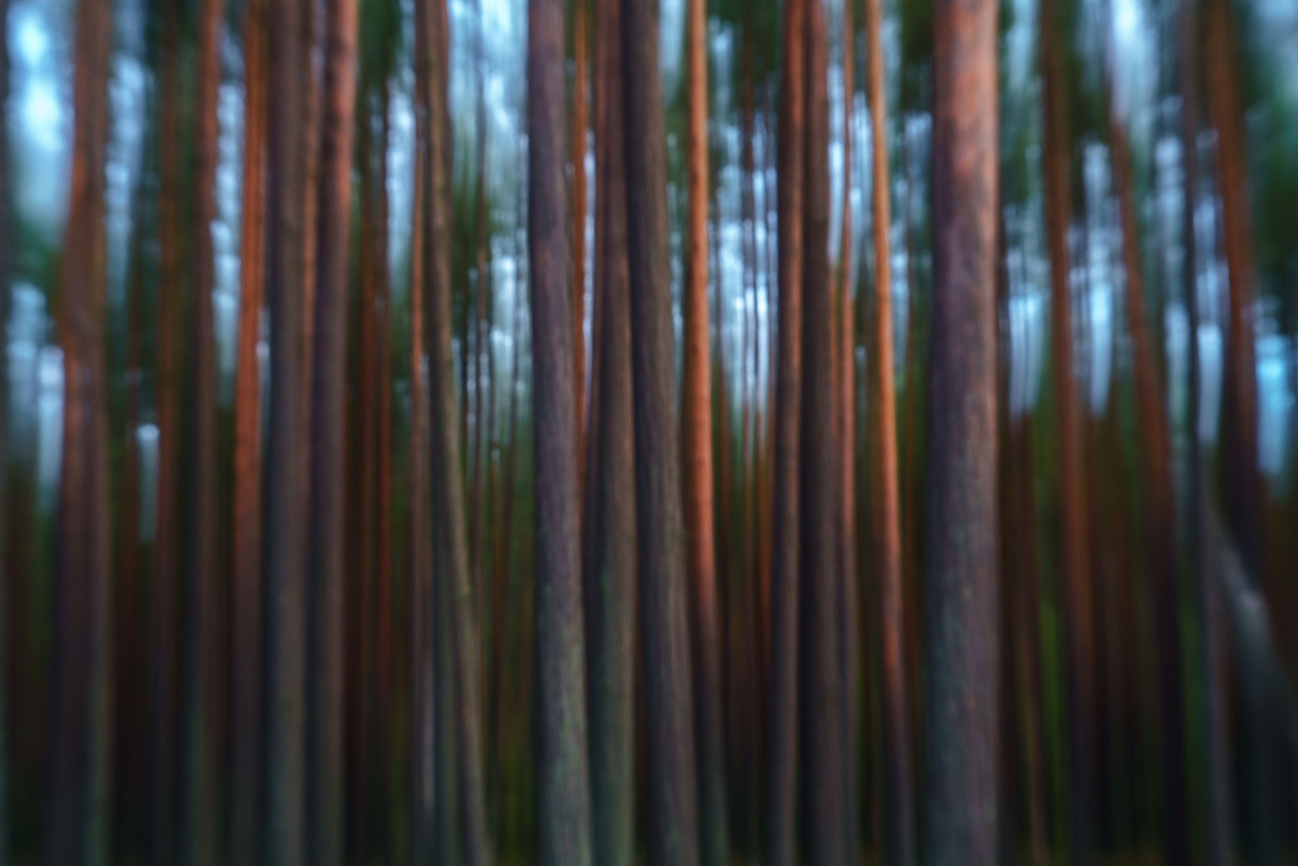Осень на Карельском перешейке. Сентябрь