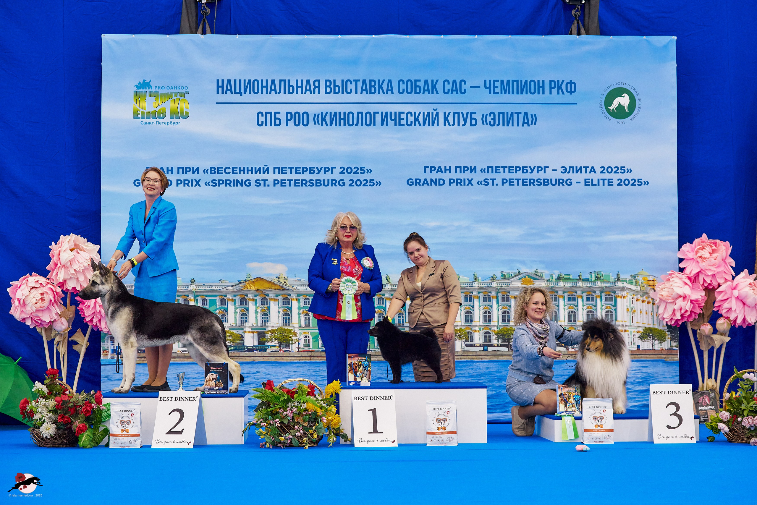 ГРАН ПРИ «ВЕСЕННИЙ ПЕТЕРБУРГ» & «СУПЕР КУБОК «ЭЛИТЫ»-2025»