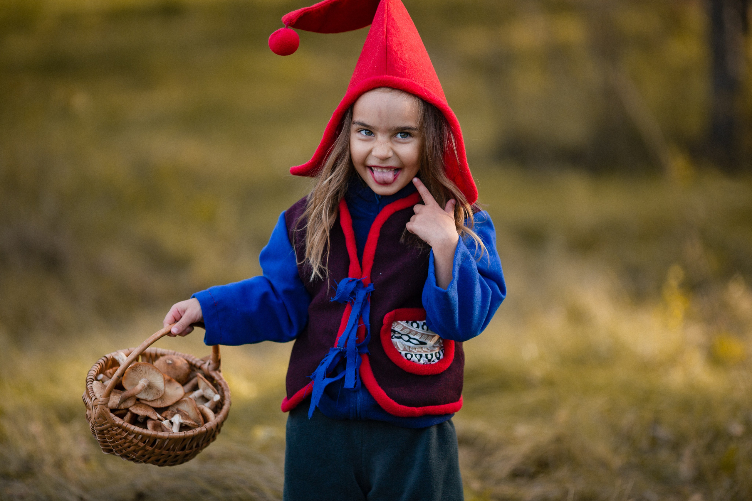 Лесные гномы