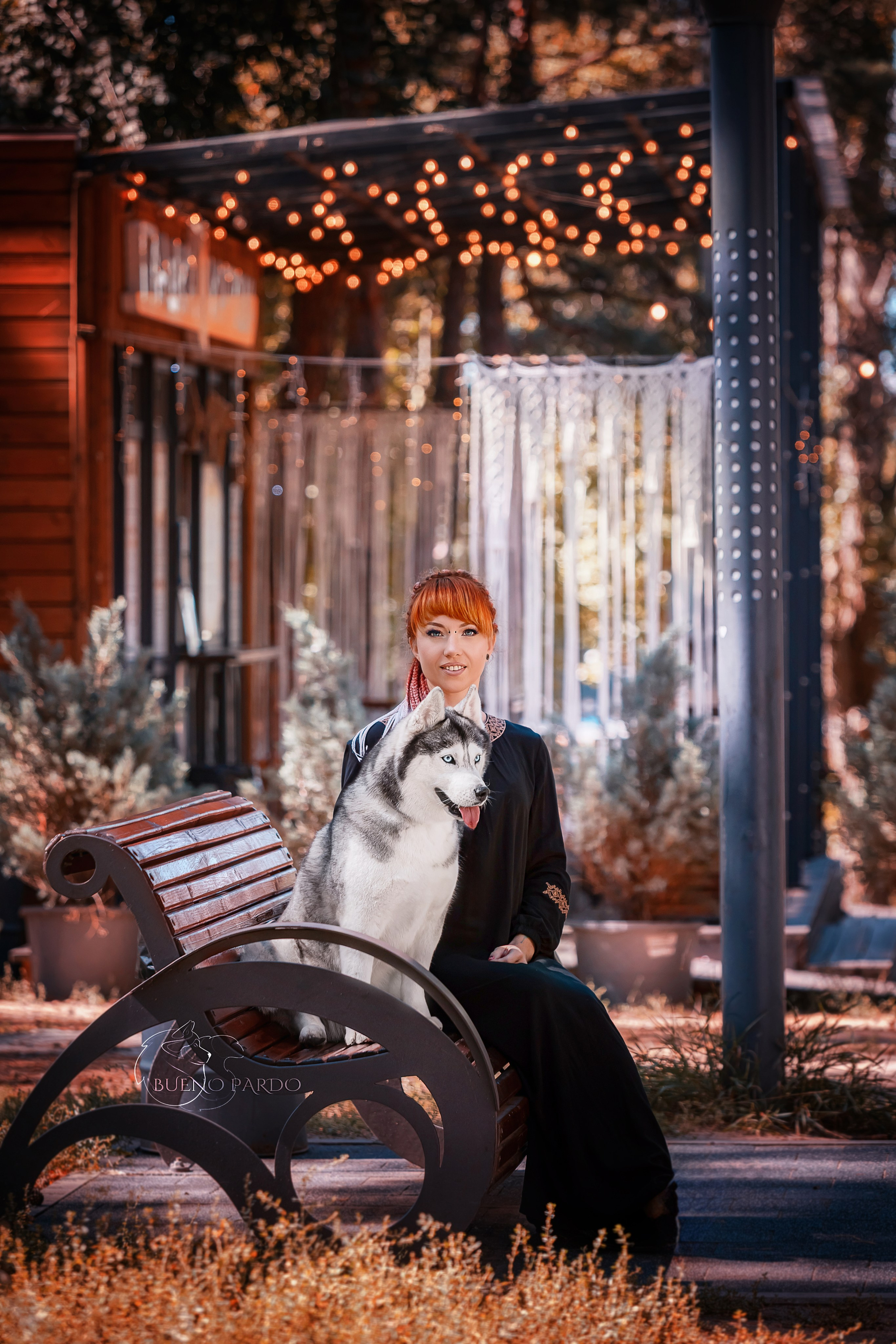 Собаки питомника Bueno Pardo. Питомник собак Акита, Хаски, Корги