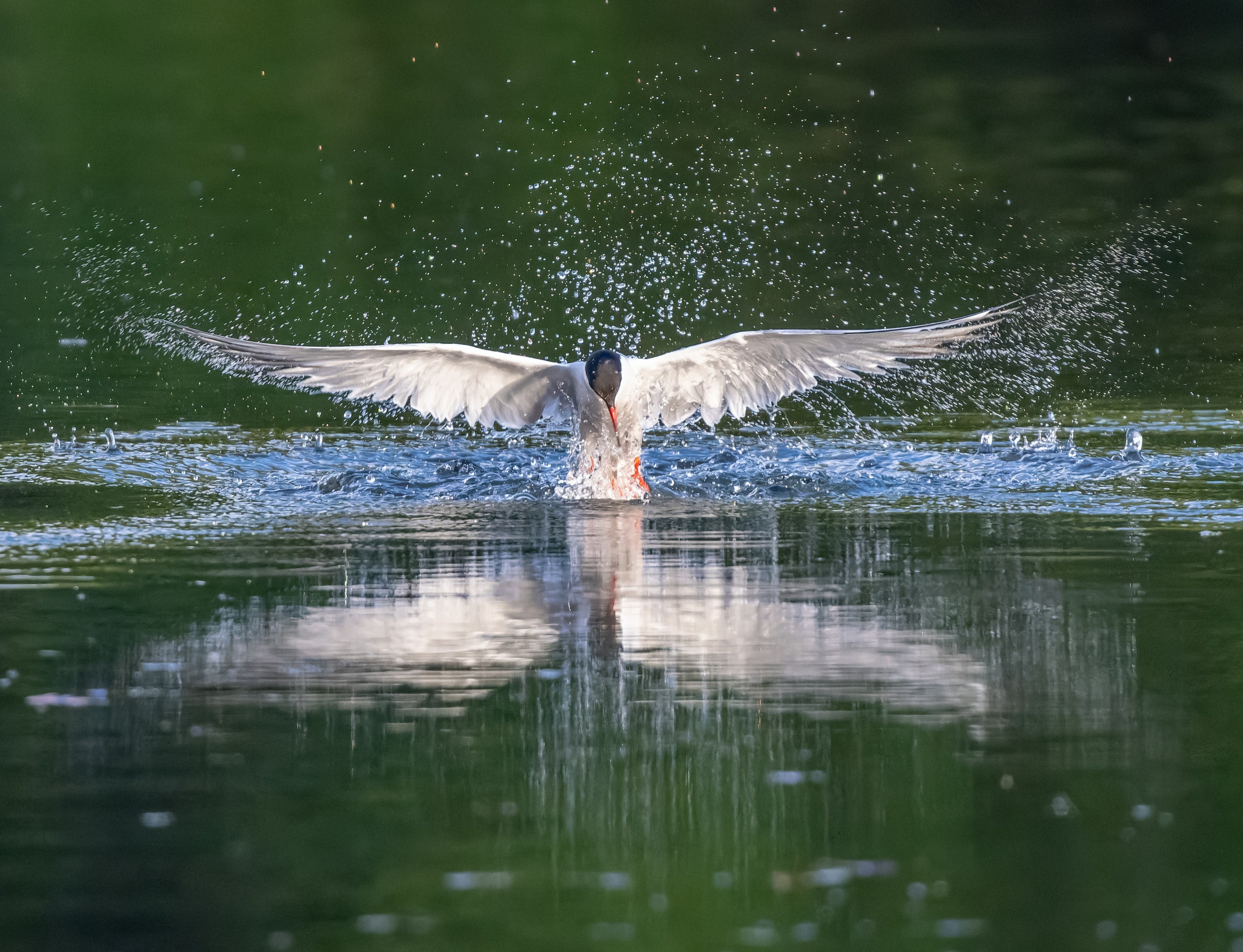 Творчество. Константин Дем | Фотограф
