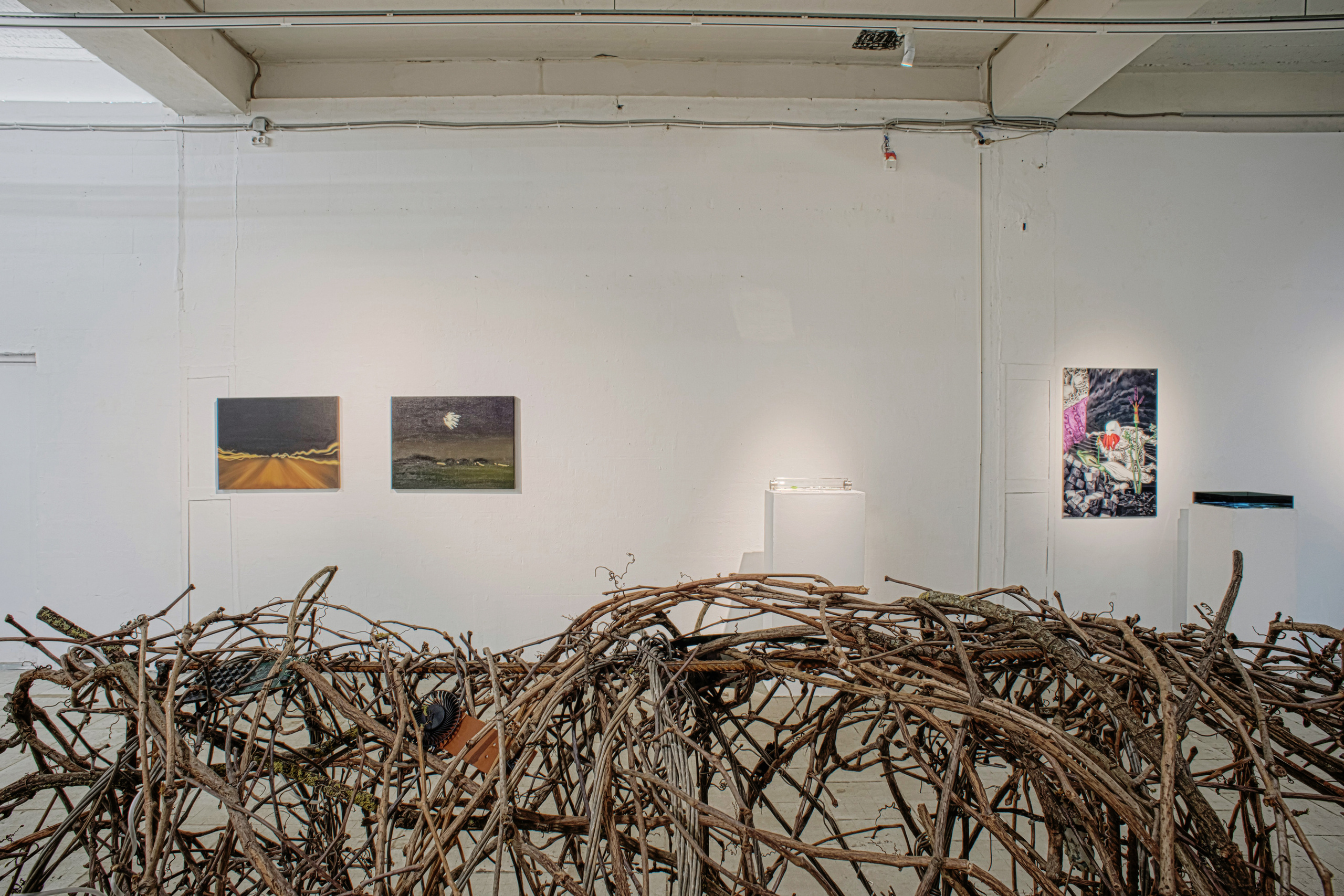 Tales by the artist Alya Segova. Alya Segova