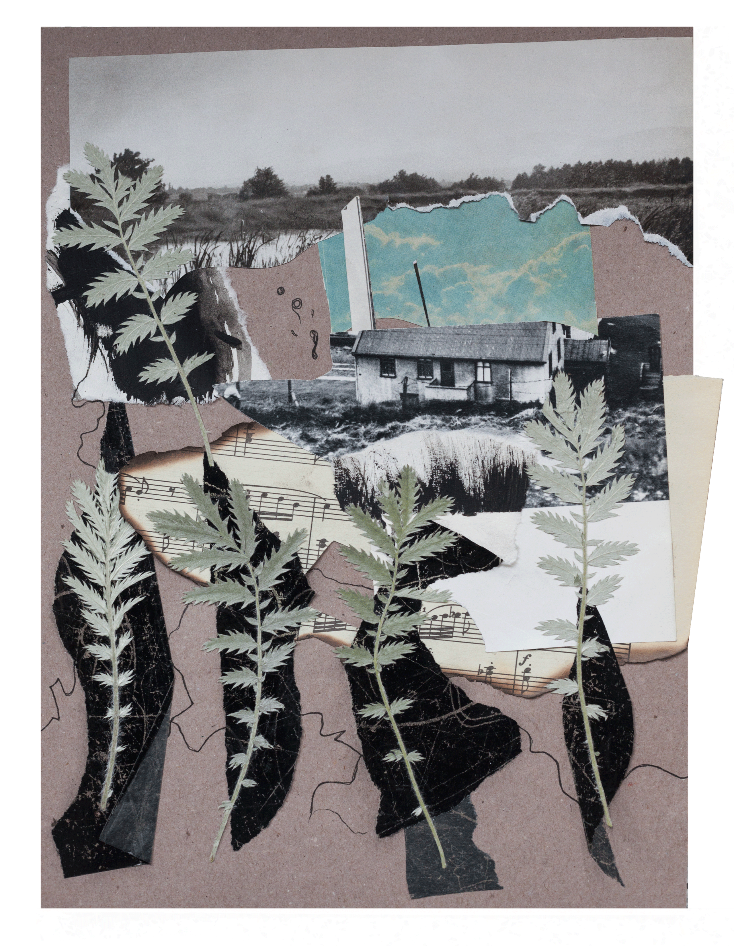 The Lost by the artist Alya Segova. Alya Segova